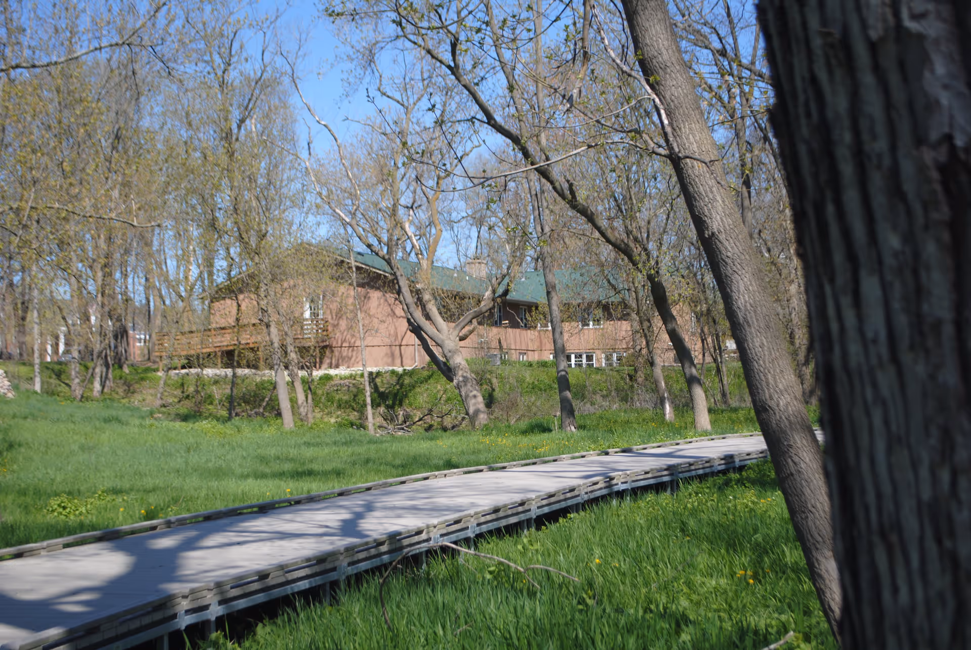A wooden boardwalk path winding through a grassy area with trees, leading towards a brown building with a green roof partially visible in the background under a clear blue sky.