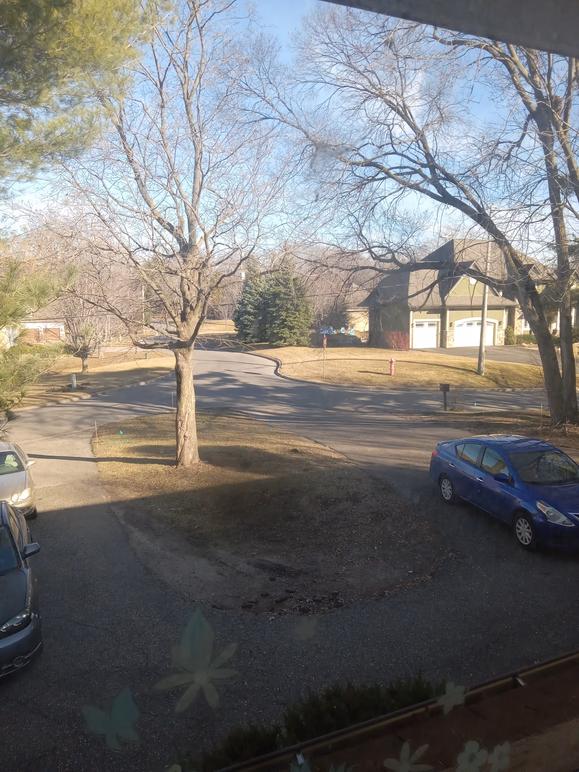View from window of a street outside St. John Home showing trees and parked cars