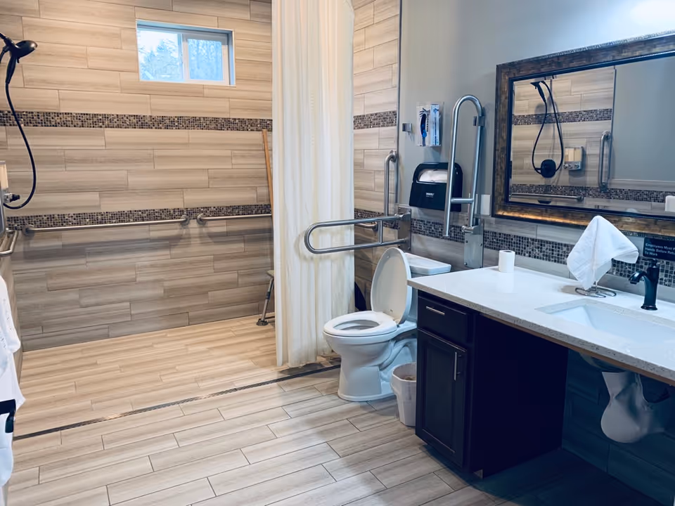 Accessible bathroom with walk-in shower, grab bars, toilet, and a vanity mirror.