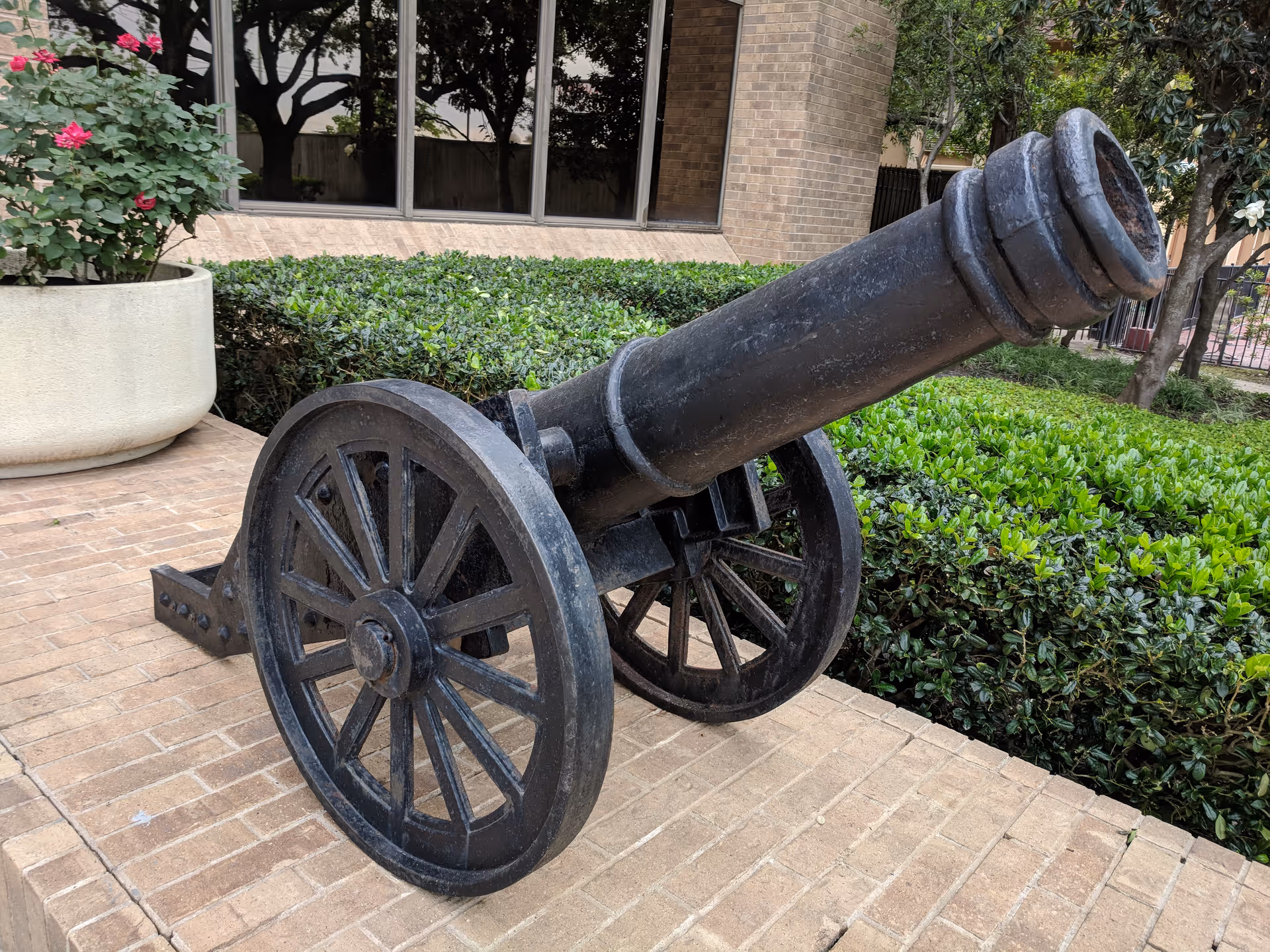 A large antique cannon on wheels sits on a brick walkway beside hedges near a building.
