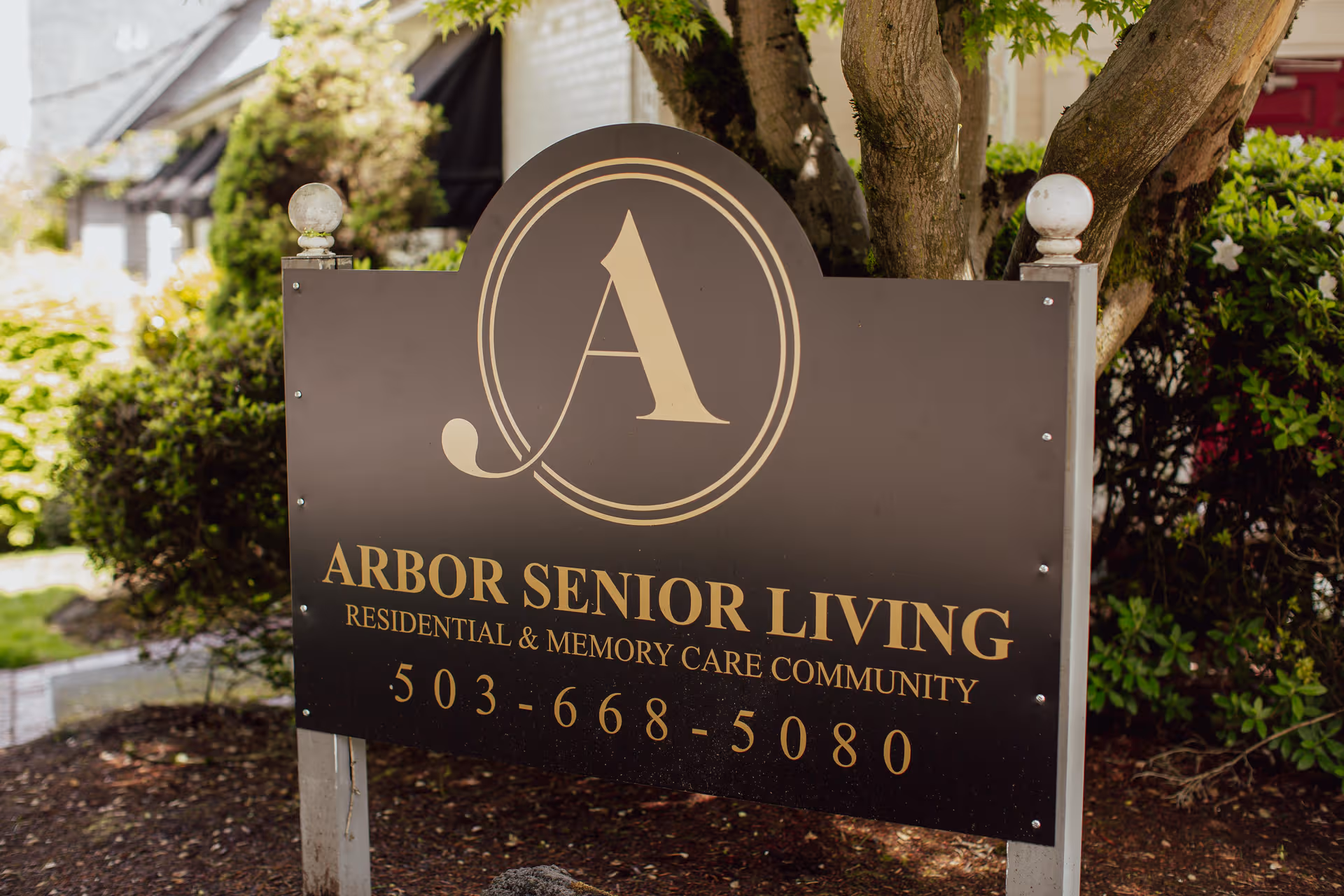 A dark Arbor Senior Living sign with logo on posts, surrounded by shrubs and trees.