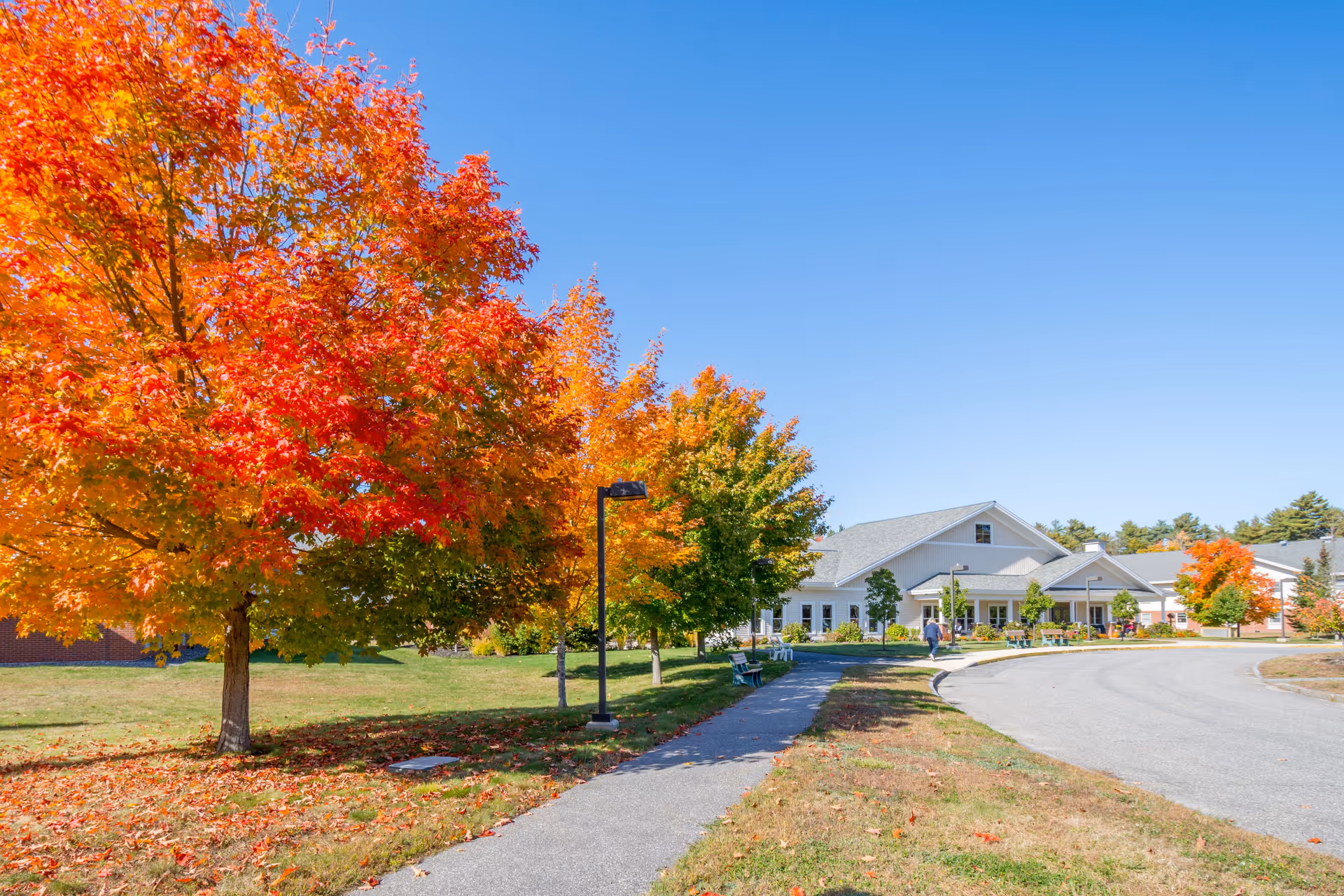 Autumn trees line a curved driveway toward the entrance of a white senior living campus.