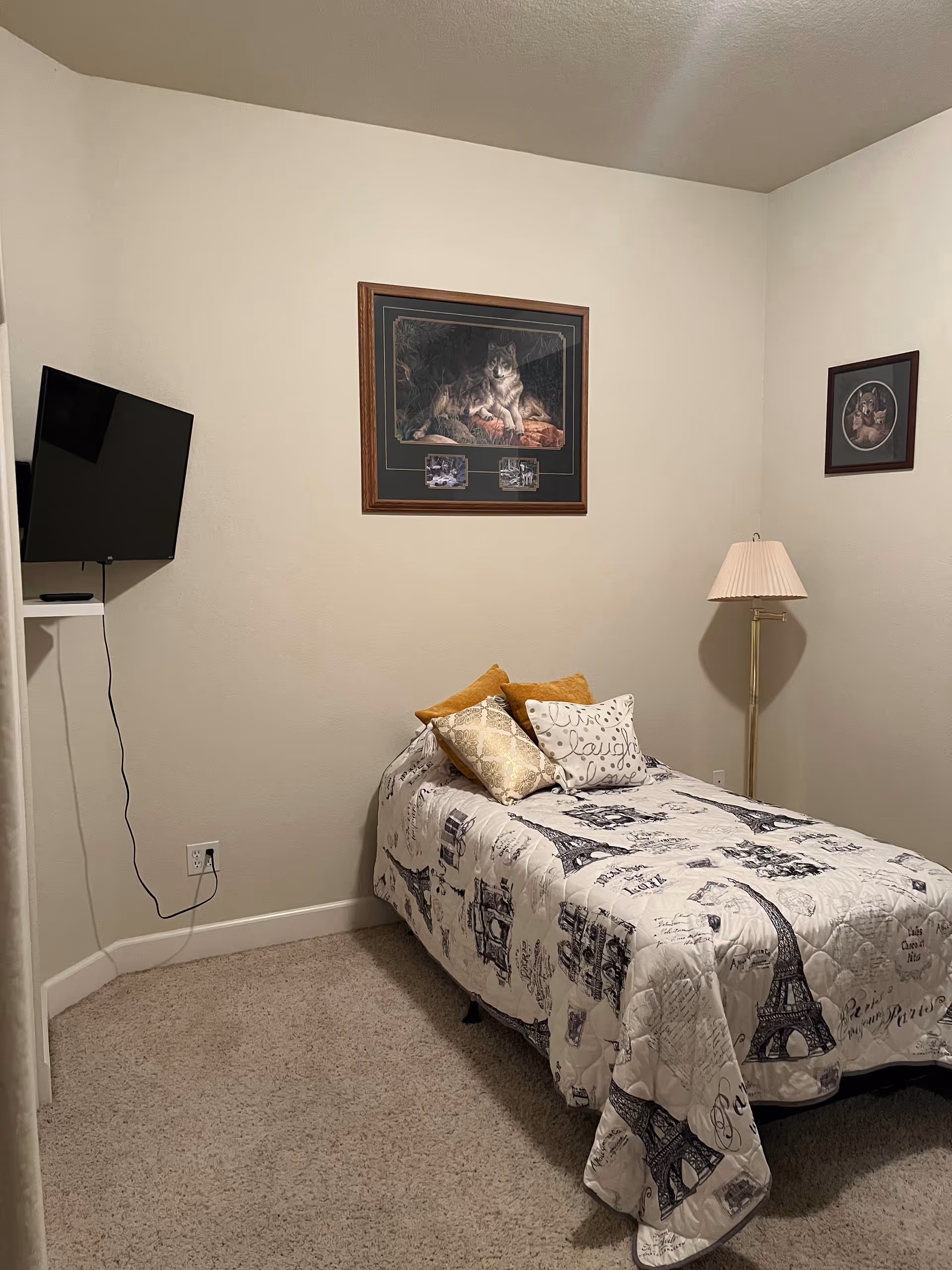 A small bedroom with a single bed, wall art, a floor lamp, and a mounted TV.
