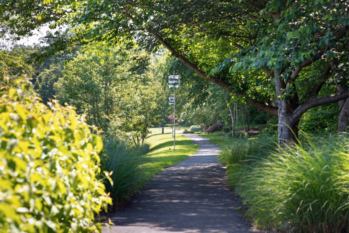 A shaded paved walkway winding through a lush, tree-lined garden with grass and shrubs.