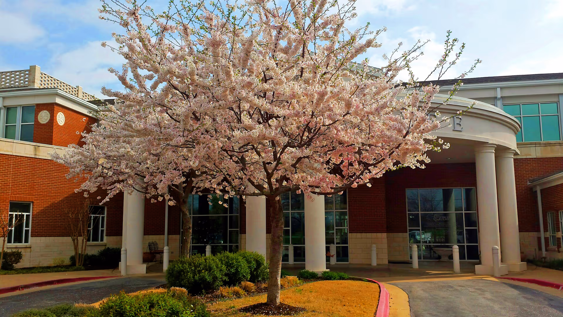 Two flowering cherry trees frame the circular entrance of Circle of Life senior living facility.