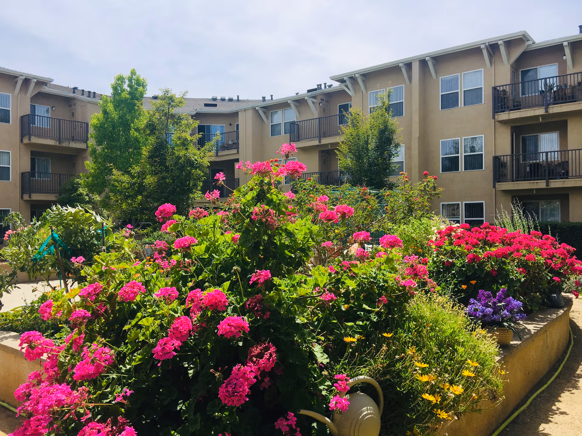 Exterior view of ACC Greenhaven Terrace showing balconies and a flowering garden.