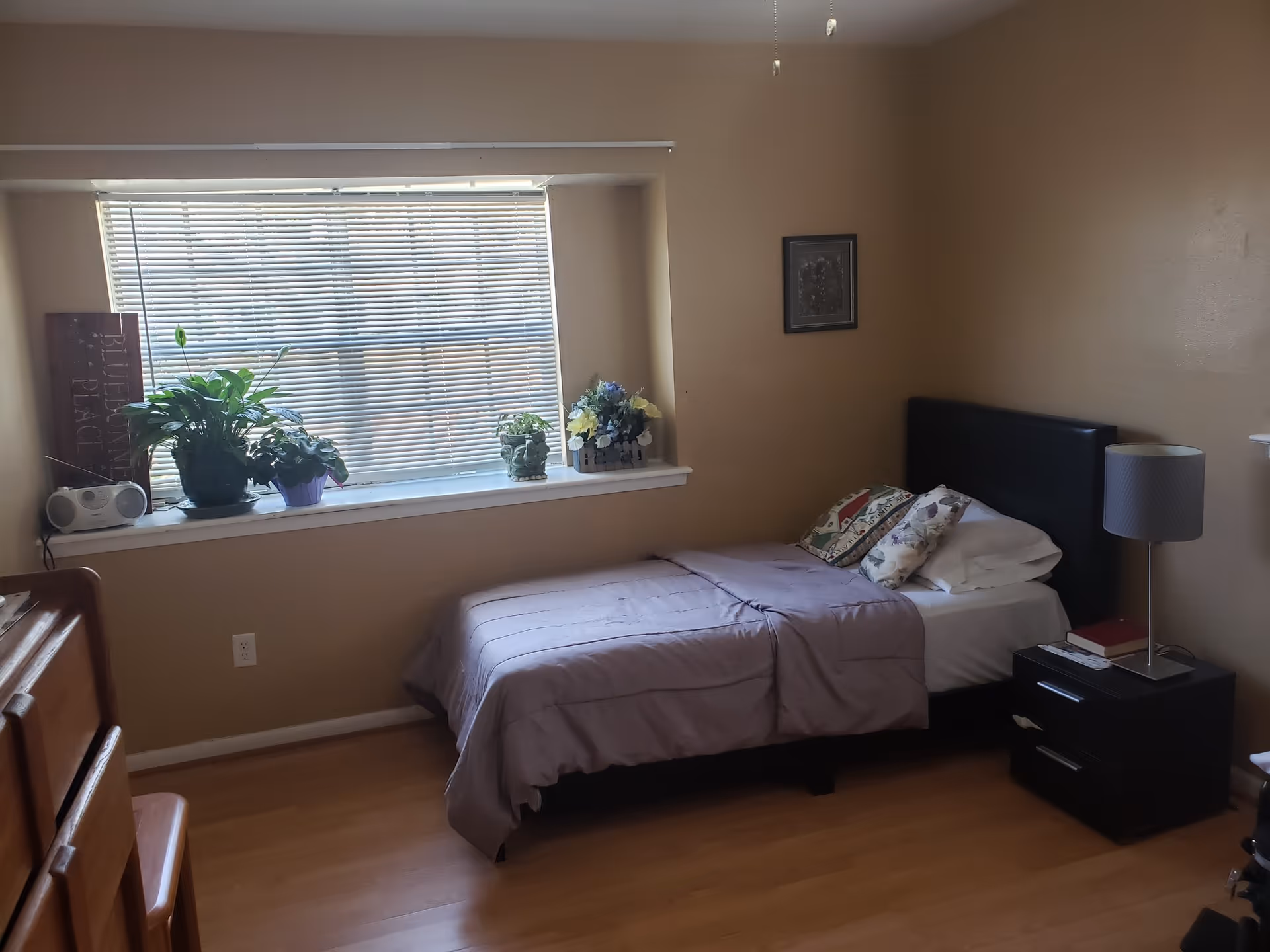 A bedroom with a single bed, nightstand, lamp, window blinds, dresser, and plants.