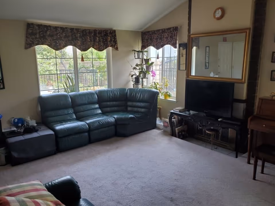 A living room with a large green leather sectional sofa positioned near two windows with floral valances. There are several potted plants on a stand by the windows. A flat-screen TV sits on a black console table beneath a large wall mirror with a wooden frame. A clock is mounted above the mirror. The room has beige walls and carpeted flooring.