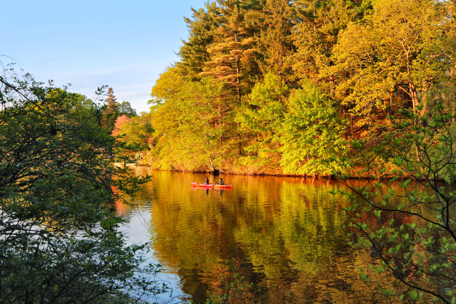 A tranquil river lined with green trees, two people paddling a red kayak.