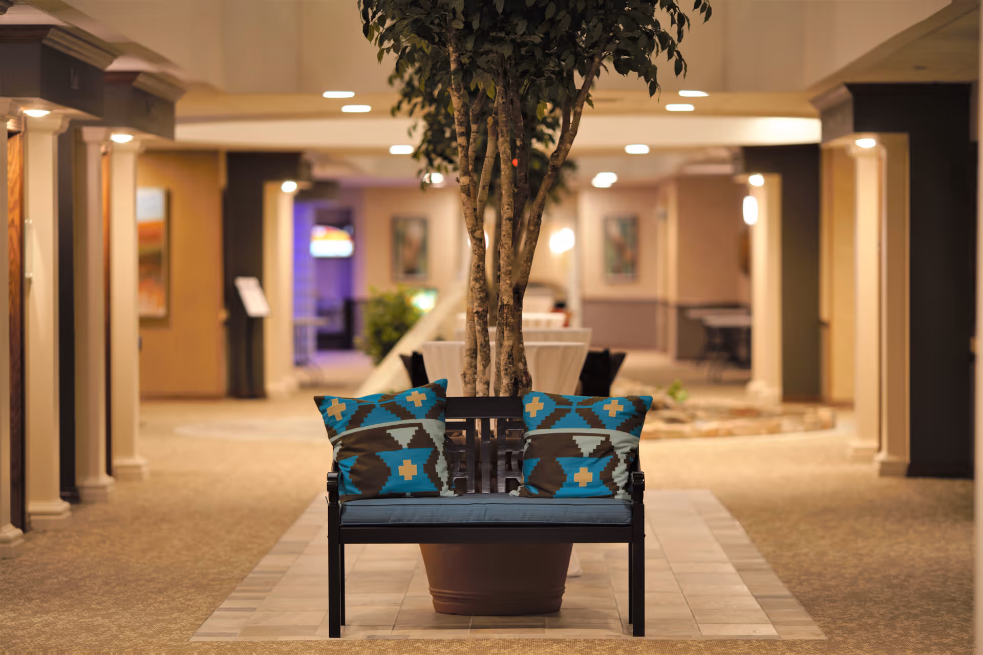 Indoor senior living lobby with a potted tree, central bench, and teal patterned cushions.