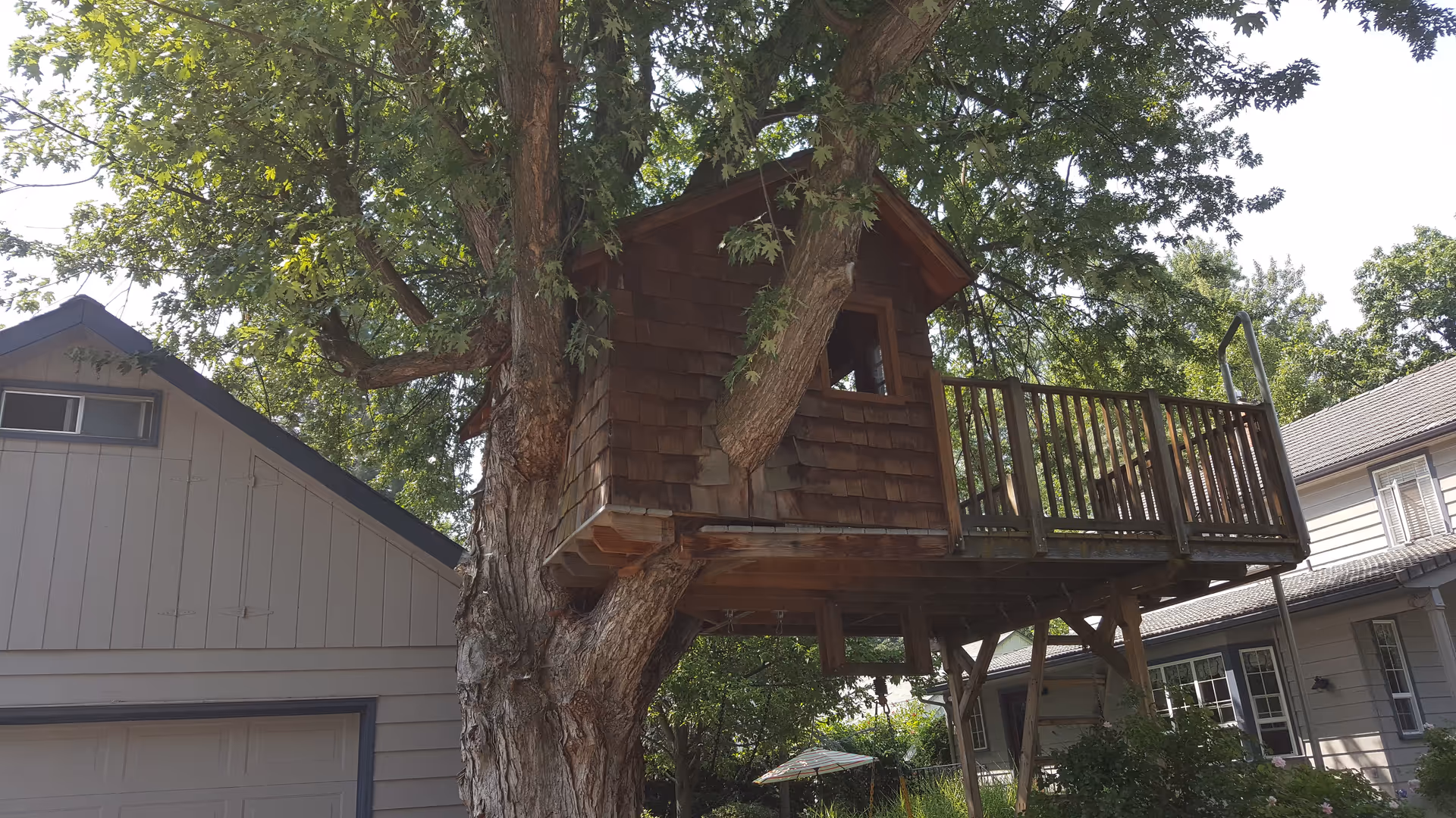 Wooden treehouse on a large tree beside a suburban house.