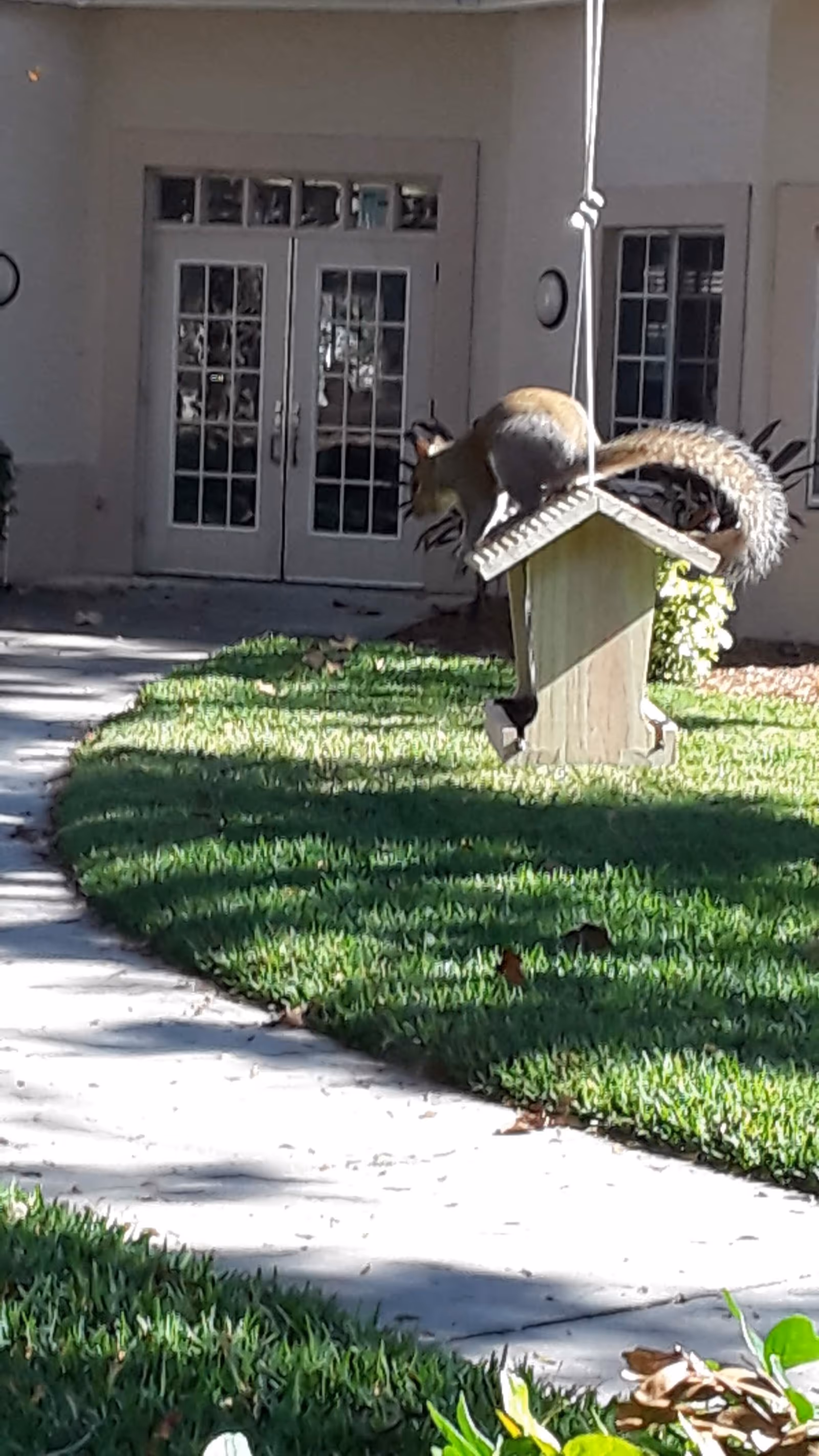 Front entrance of Magnolia Gardens Assisted Living with a bird feeder outside.