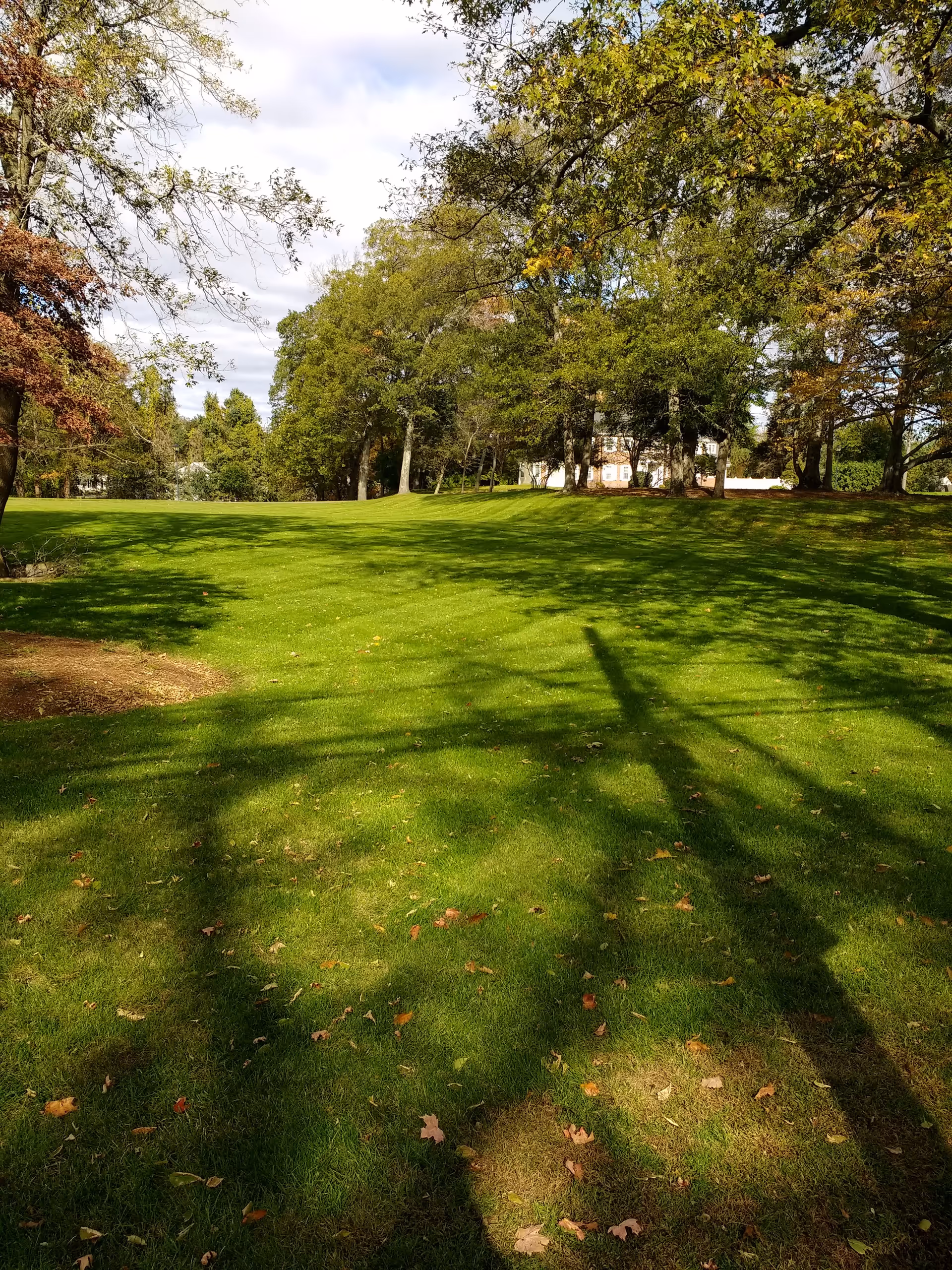 Sunlit lawn at St Patrick's Manor with trees casting long shadows.