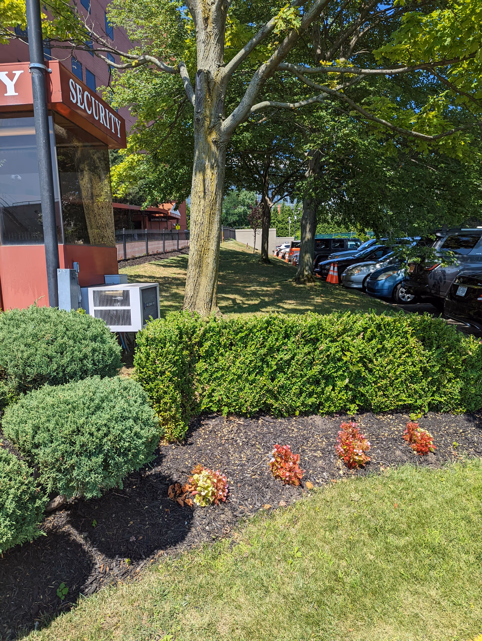 Exterior view of Calvary Hospital with trees, shrubs, and a parking lot.