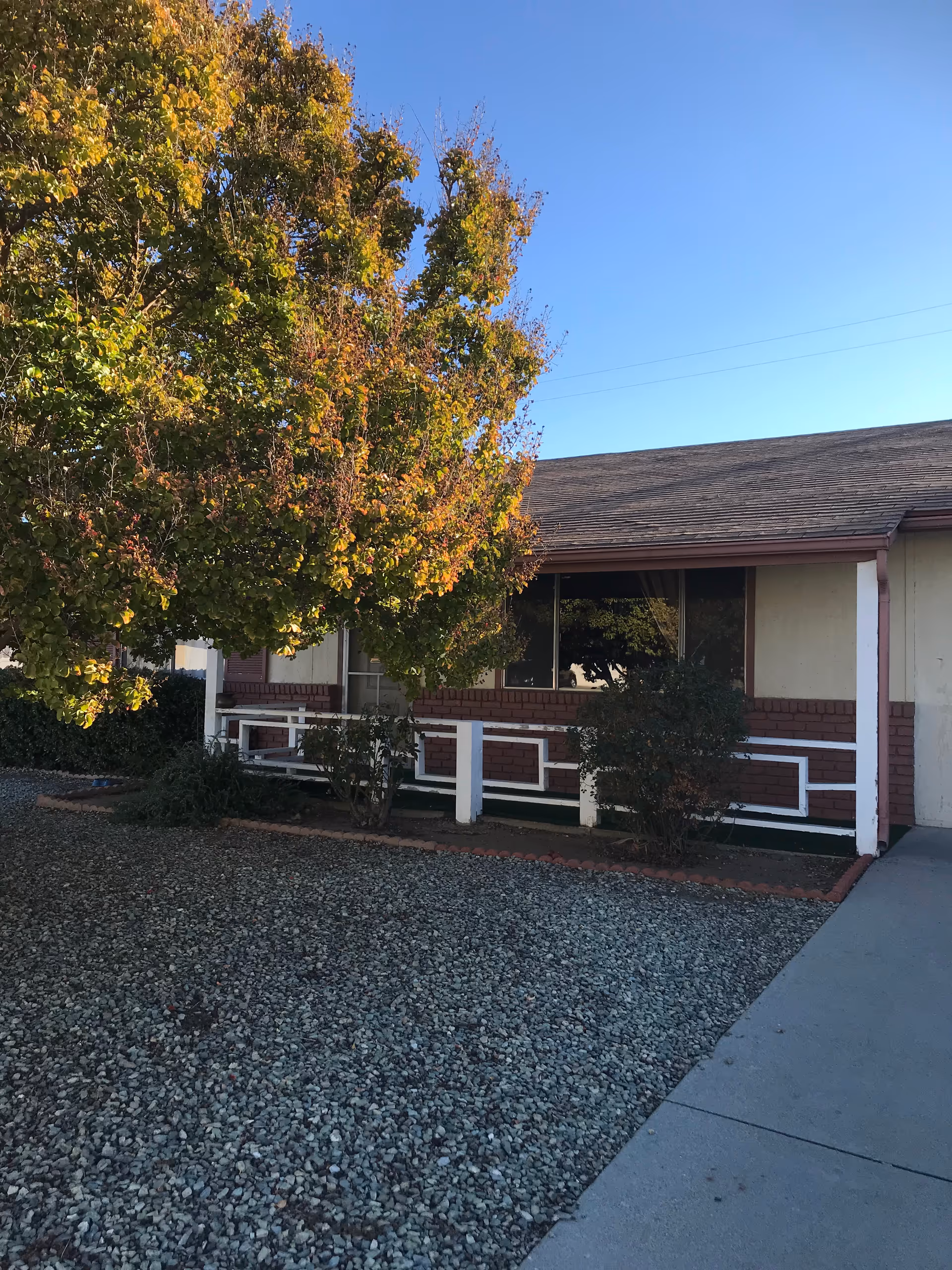 Front exterior of a single-story building with a tree, gravel yard, and a concrete walkway.