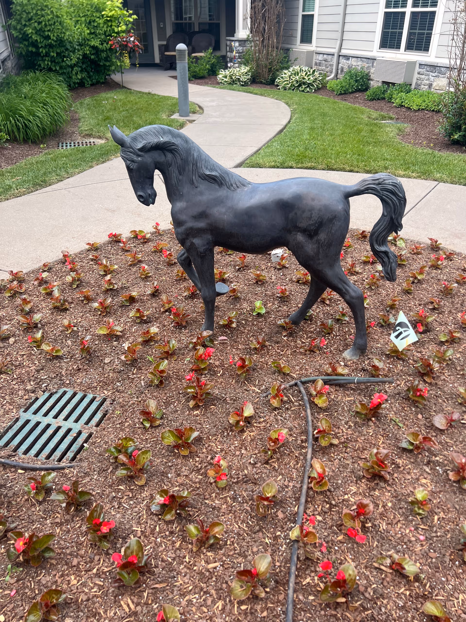 Black horse statue stands in a mulched flower bed near the building entrance.