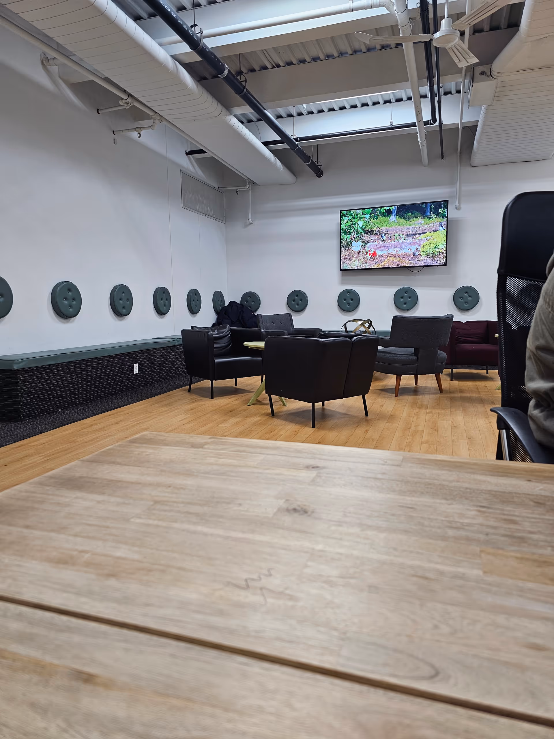 Indoor lounge area with black chairs, a TV, wooden floor, and circular wall decorations.