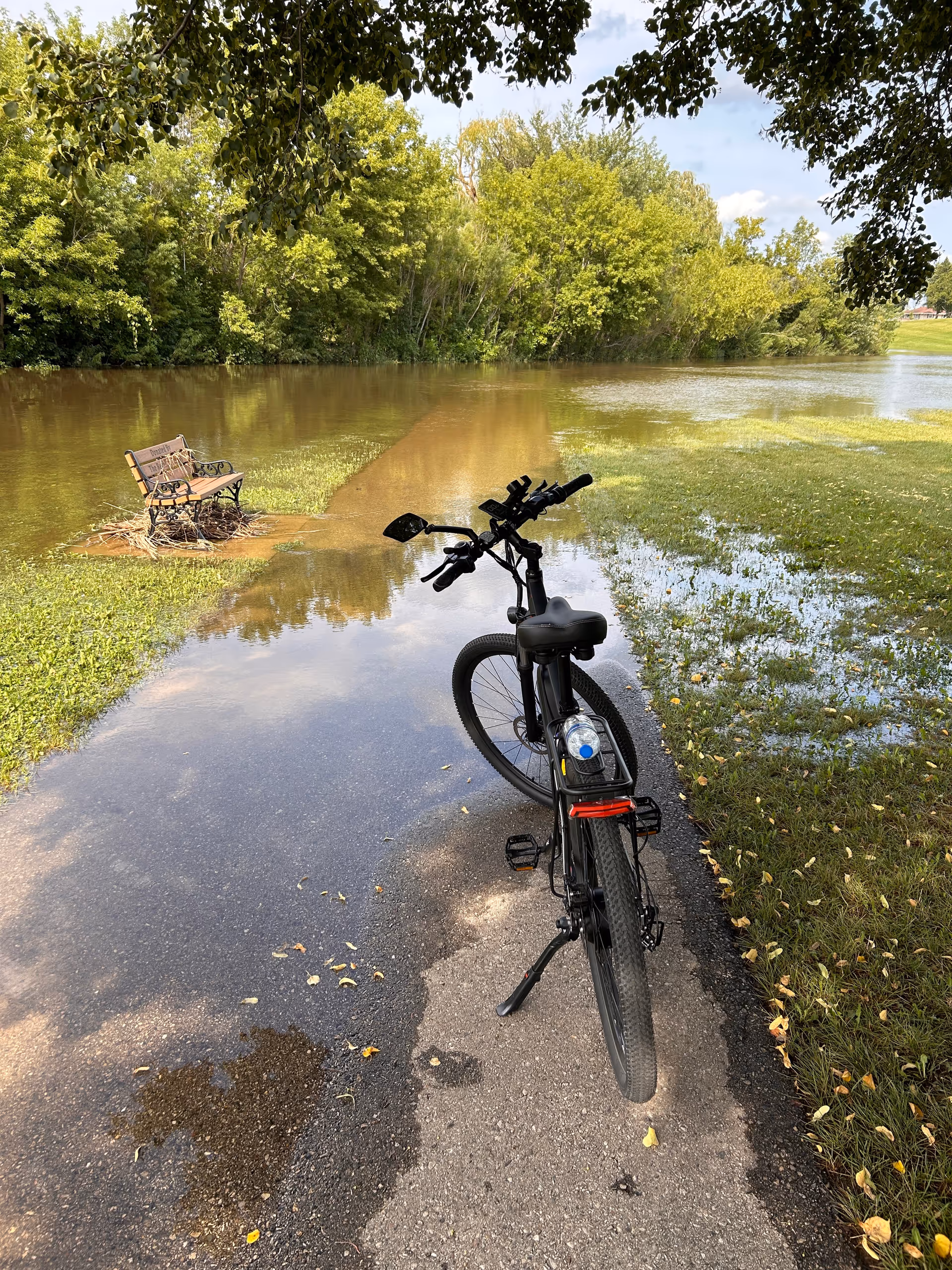 Bicycle on a flooded path beside a lake, with trees and a bench in the background.
