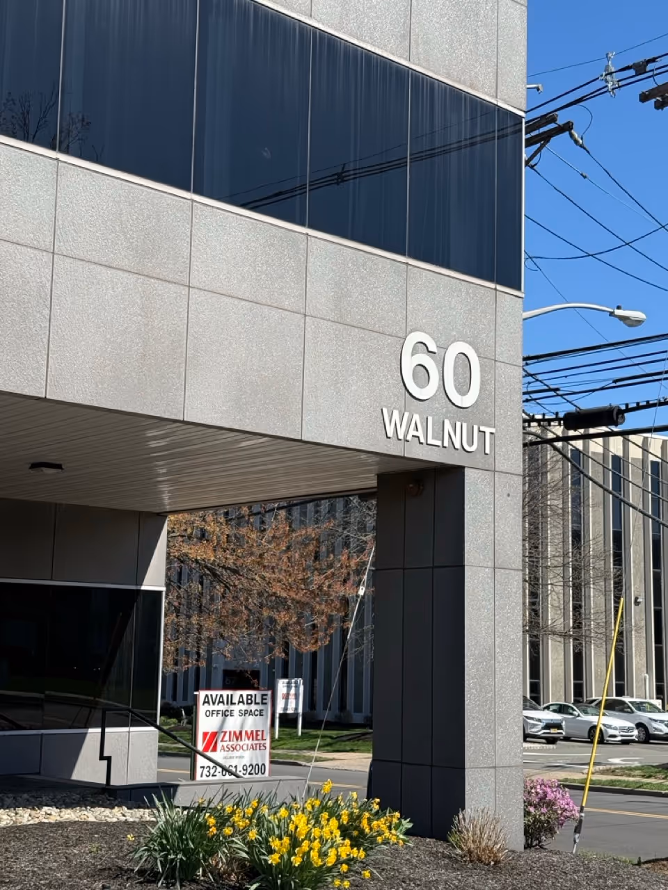 Modern office building entrance with a 60 Walnut sign and landscaped area.