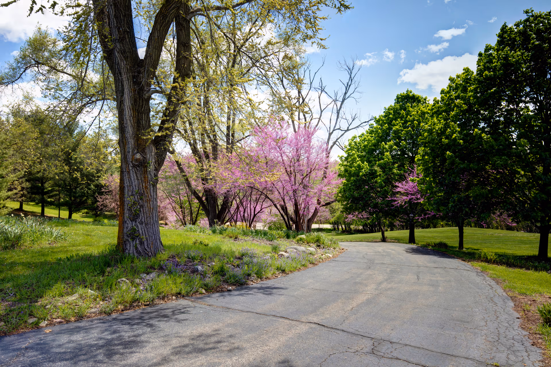 Scenic outdoor path curving through blossoming trees and green landscape