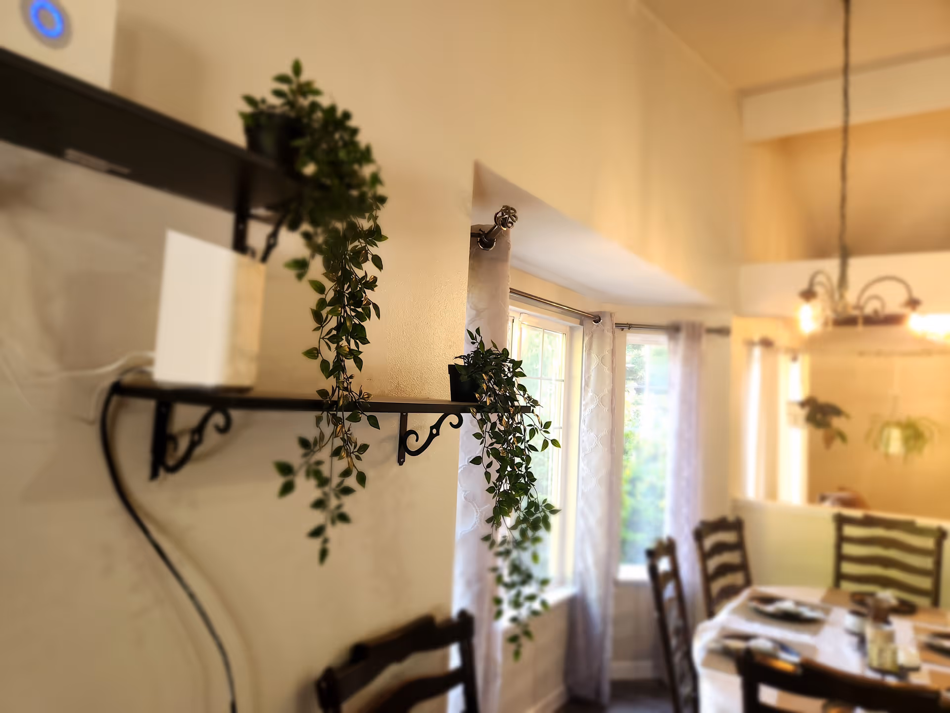 Dining area with a wall shelf of trailing potted plants, a window with curtains, and a set dining table and chairs.