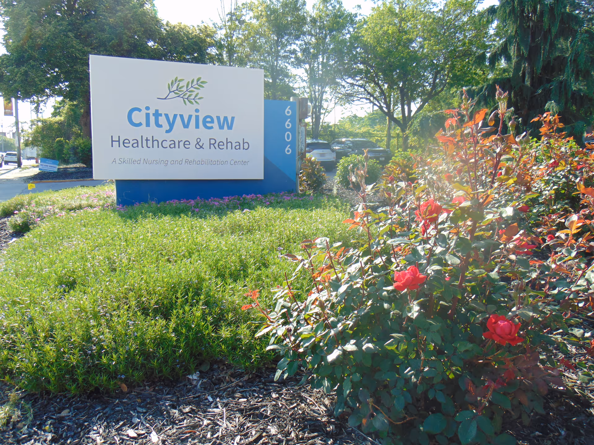 Entrance sign reading "Cityview Healthcare & Rehab" surrounded by green landscaping and red roses.