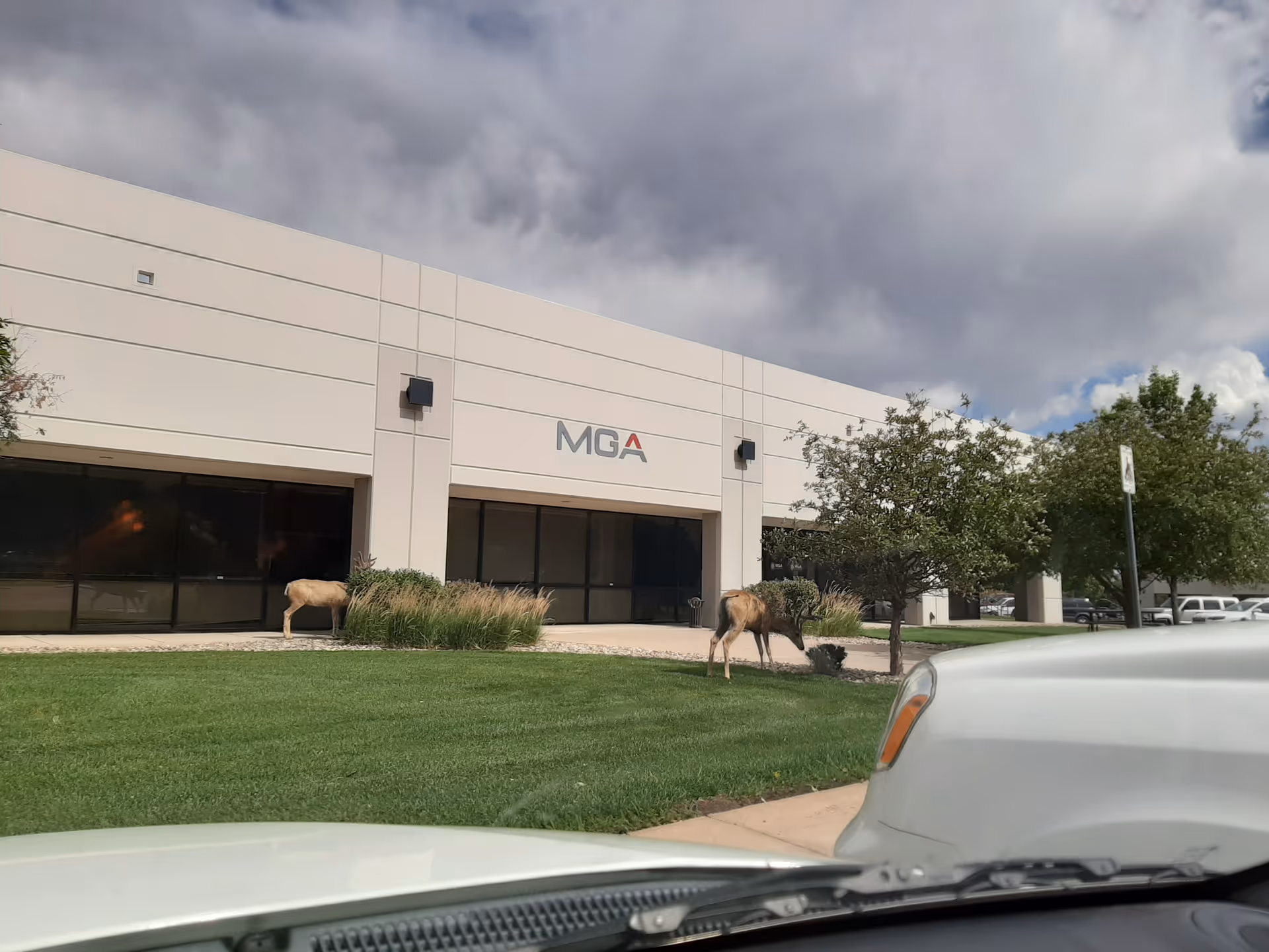Exterior view of MGA Homecare building with a grassy lawn and deer nearby.