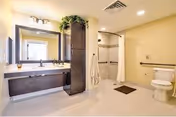 Bathroom with double sinks, large mirror, shower, and toilet, plus a potted plant.