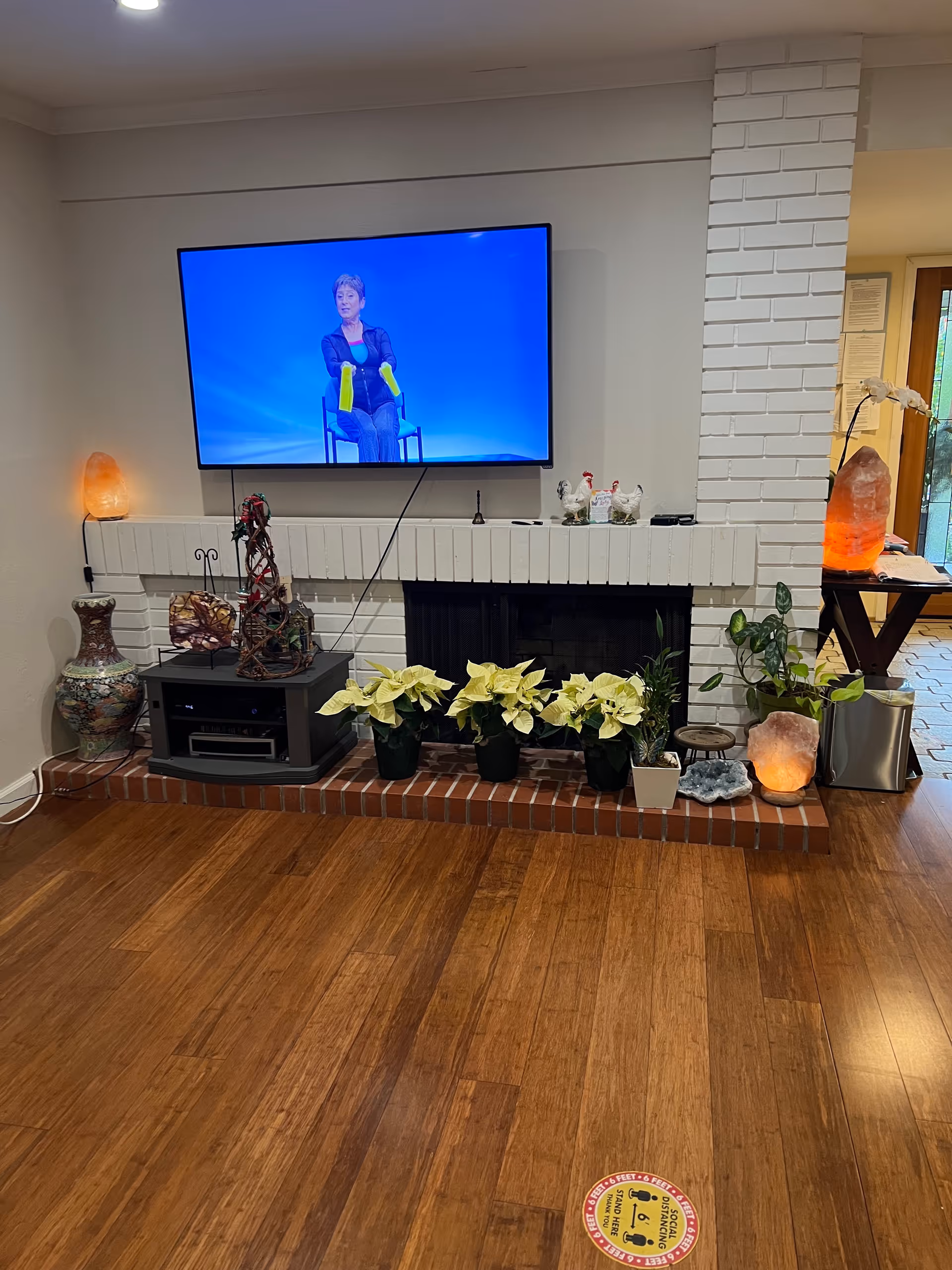 TV above a brick fireplace with plants and lamps in a living room