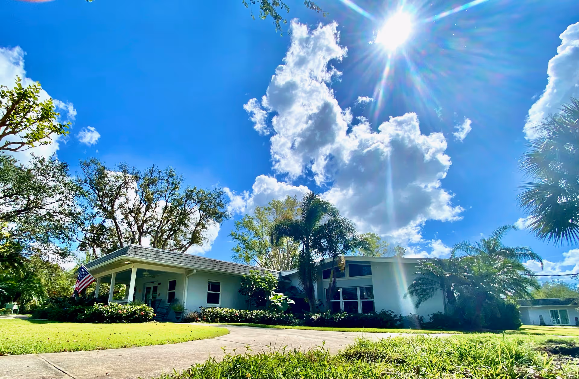 Exterior view of Venice Green Village: a single-story building with palm trees and bright sun.