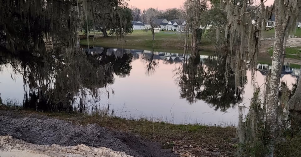 Tranquil pond bordered by trees with distant houses under a pink-tinged sky