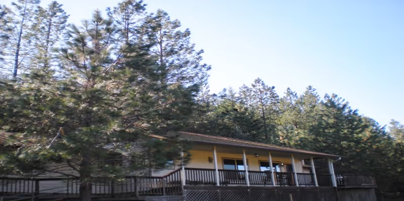 Single-story yellow building with a covered porch and railing set among tall pine trees under a clear sky.