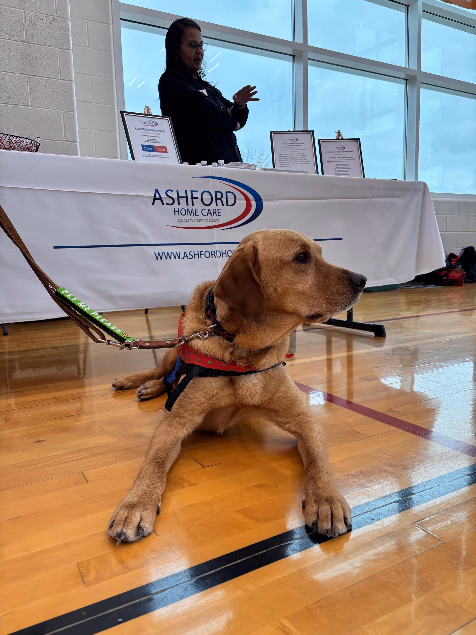Therapy dog rests on a gym floor in front of Ashford Home Care table.