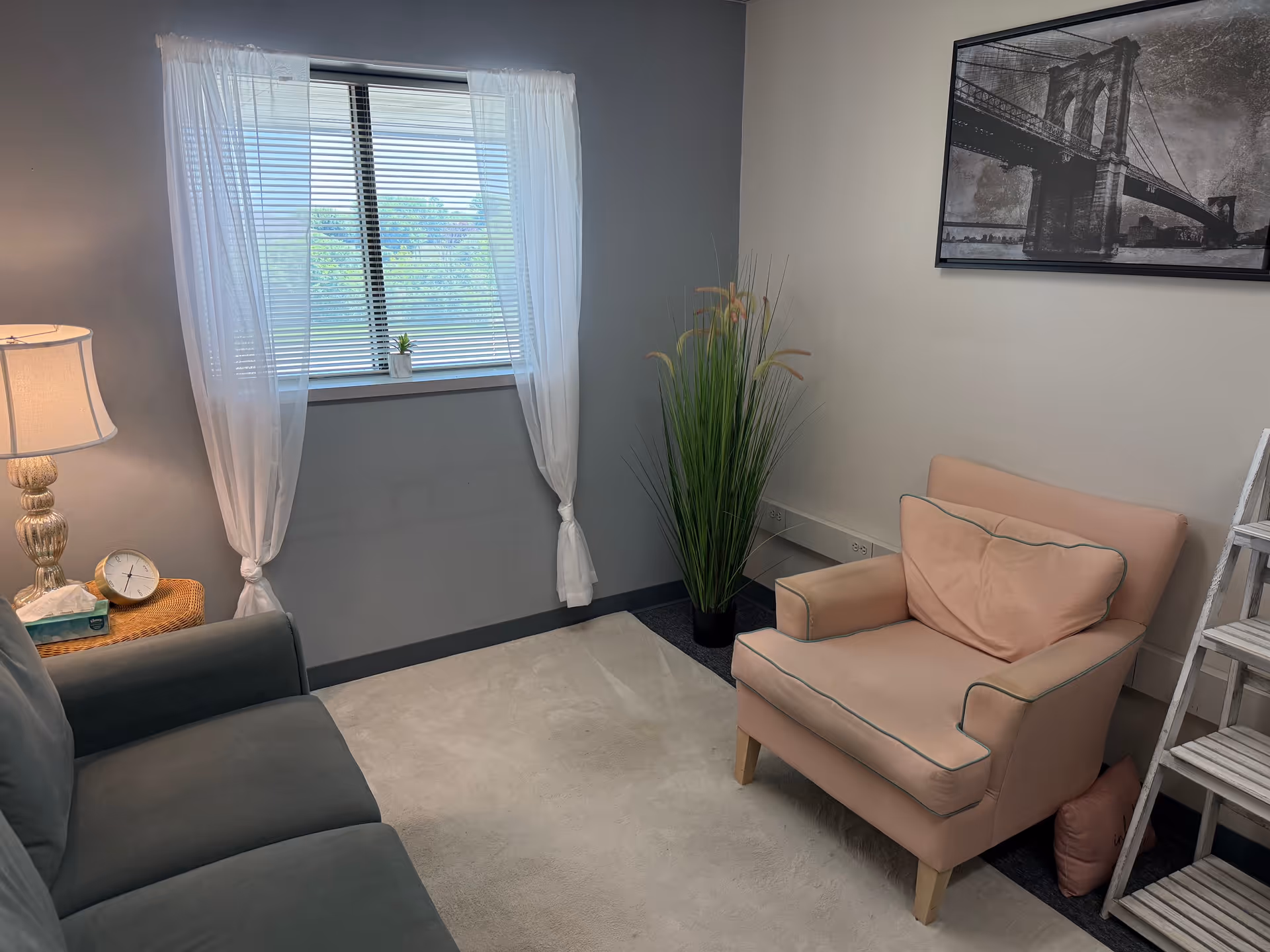 Cozy senior living room with pink armchair, gray sofa, window with white curtains, and plant.