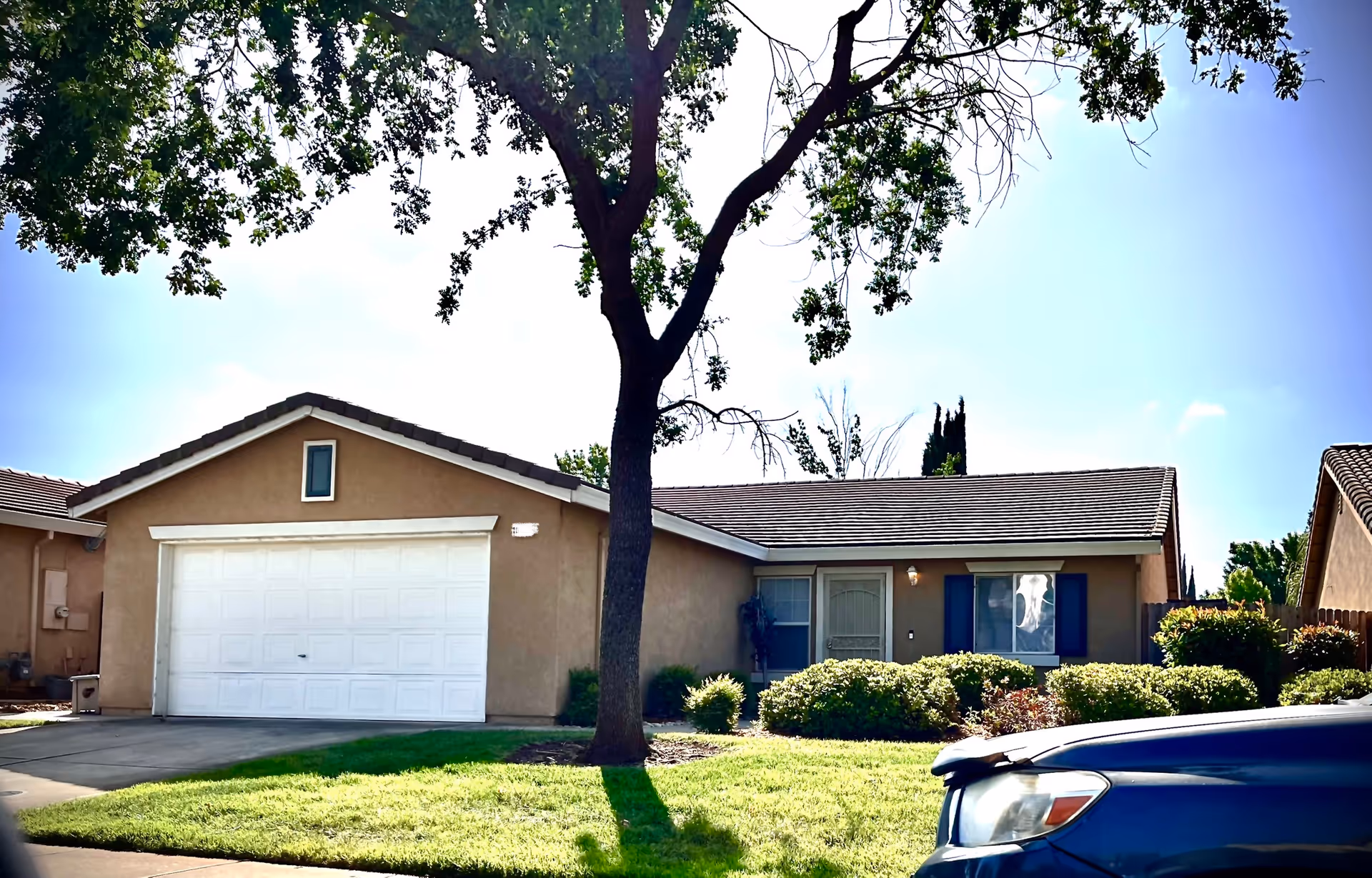 A suburban single-story house with a large tree, manicured shrubs, and a blue car in driveway.