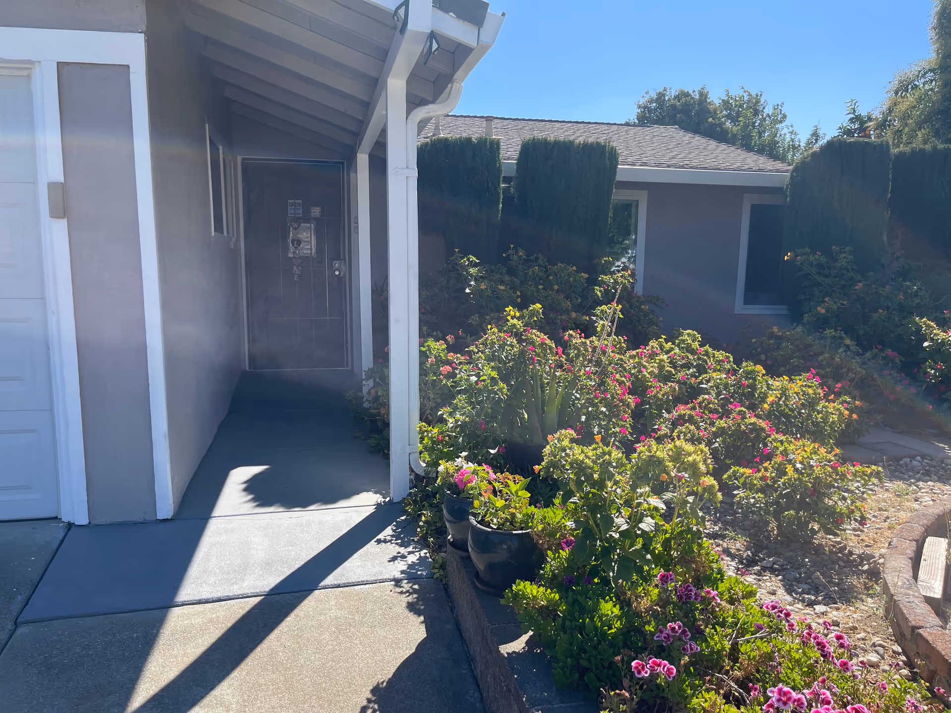 Front entrance of a senior home with flowering shrubs and a concrete walkway.