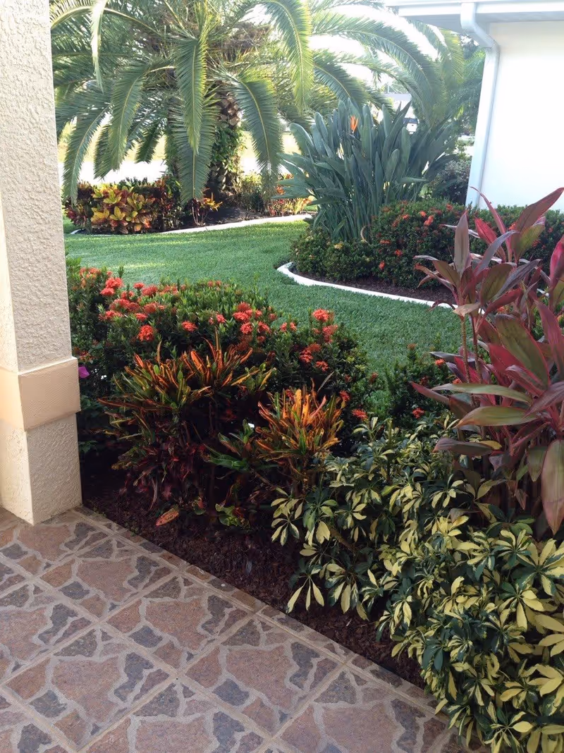 A well-maintained garden area with various green plants, colorful flowers, and a palm tree. The garden is bordered by a tiled patio floor and a light-colored wall on the left side.