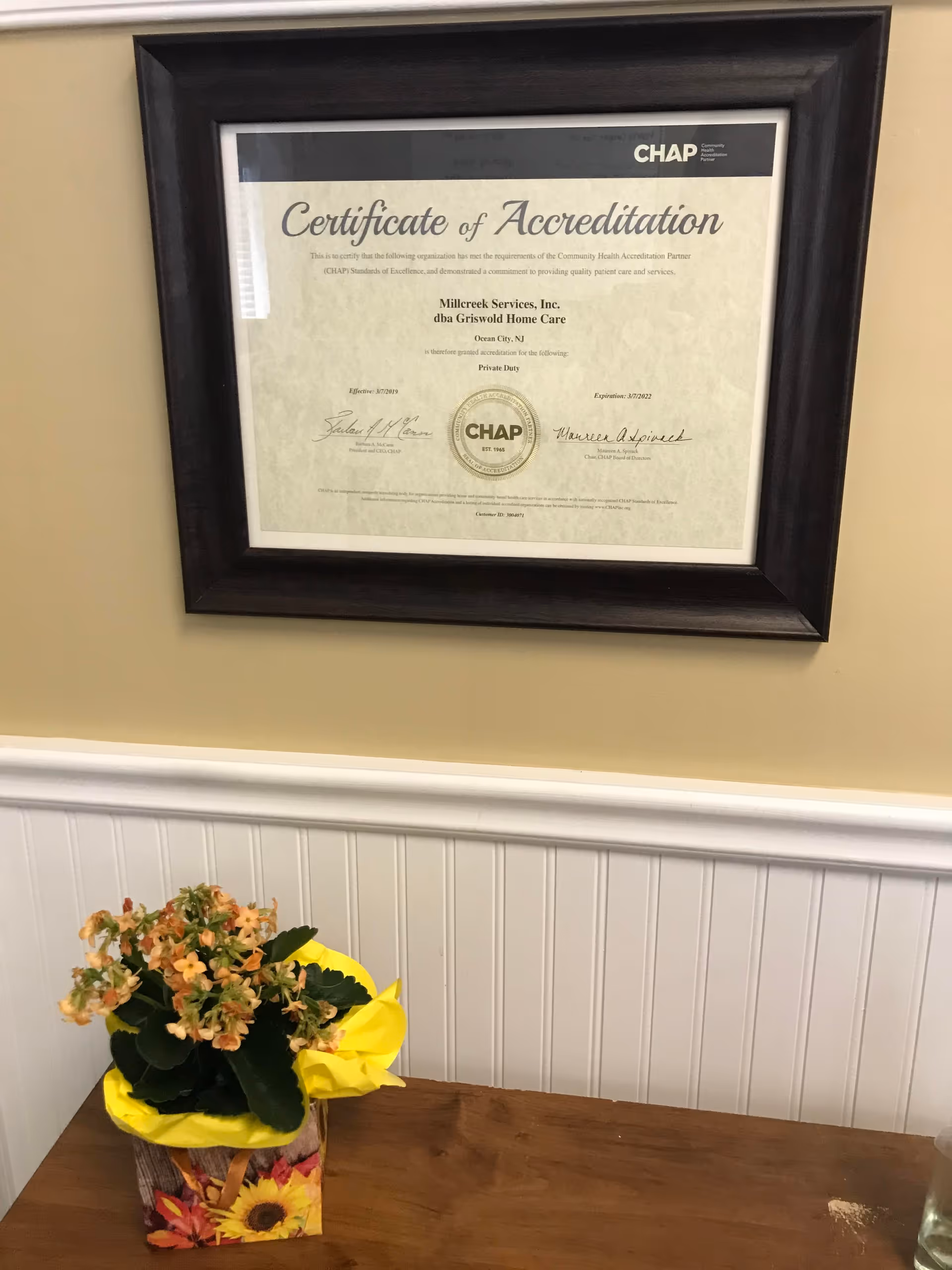 Framed certificate hangs on beige wall above a table with a potted yellow flower.