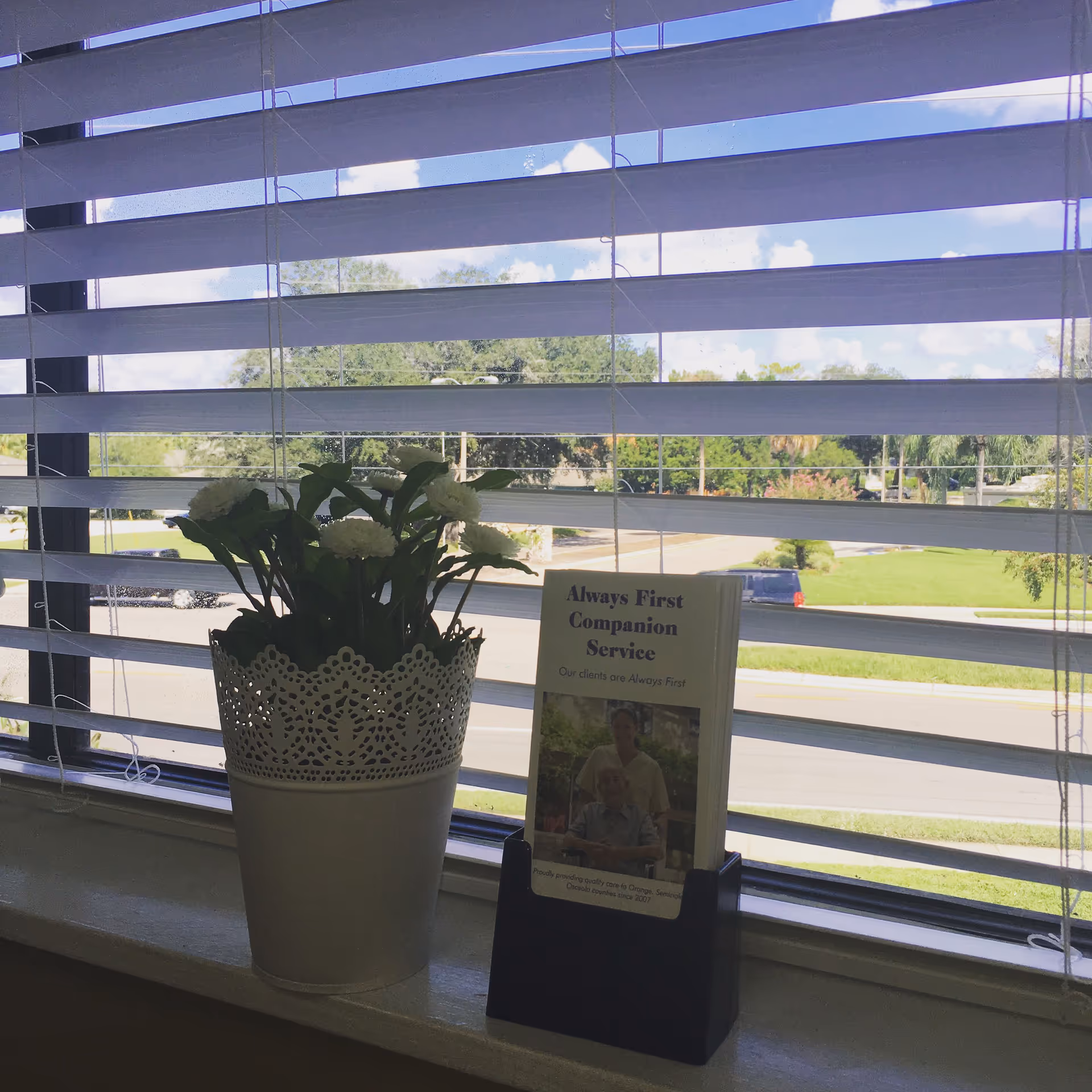 Indoor windowsill view with a potted plant and Always First Companion Service brochure