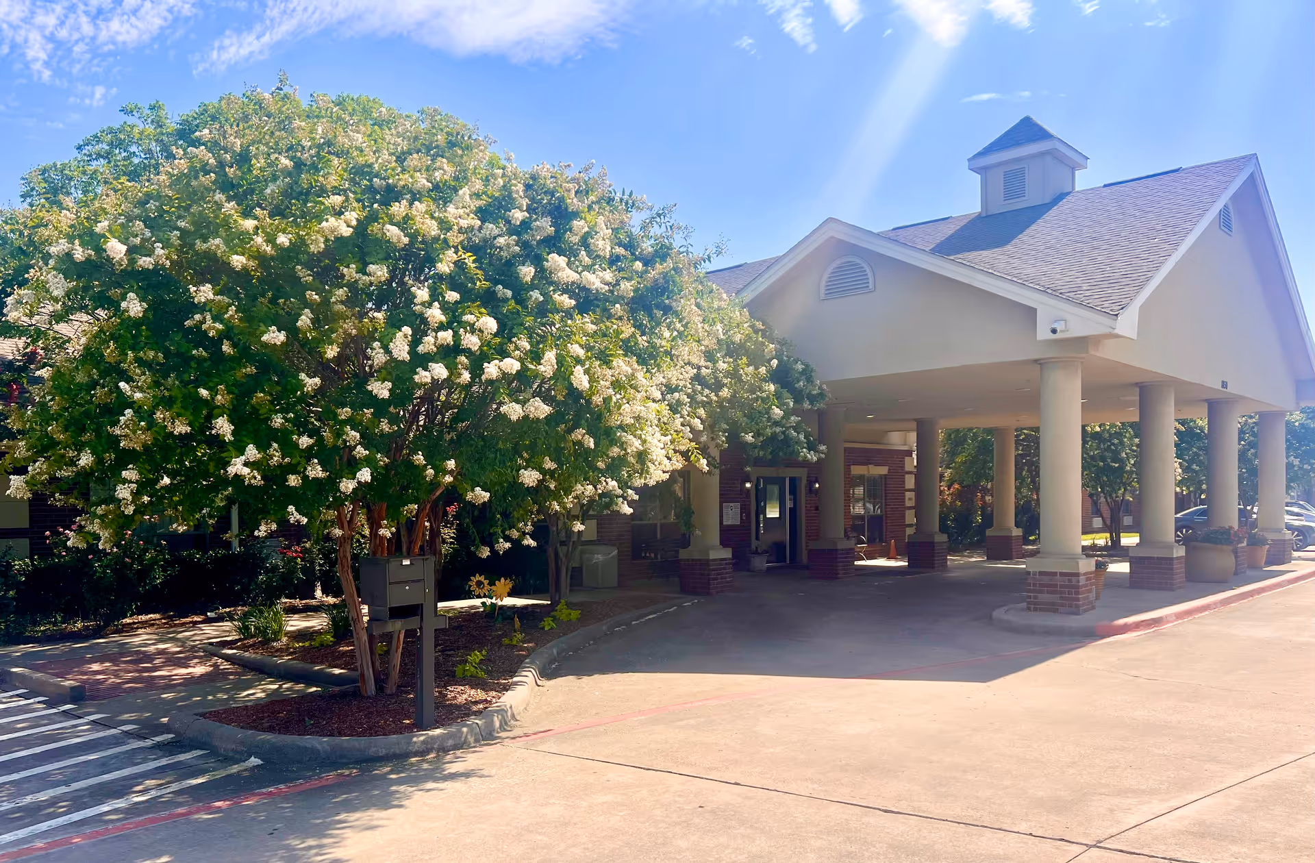 Entrance of Millbrook Healthcare and Rehabilitation Center with a covered drop-off area supported by columns, a large flowering tree to the left, and a clear blue sky with sunlight streaming down.