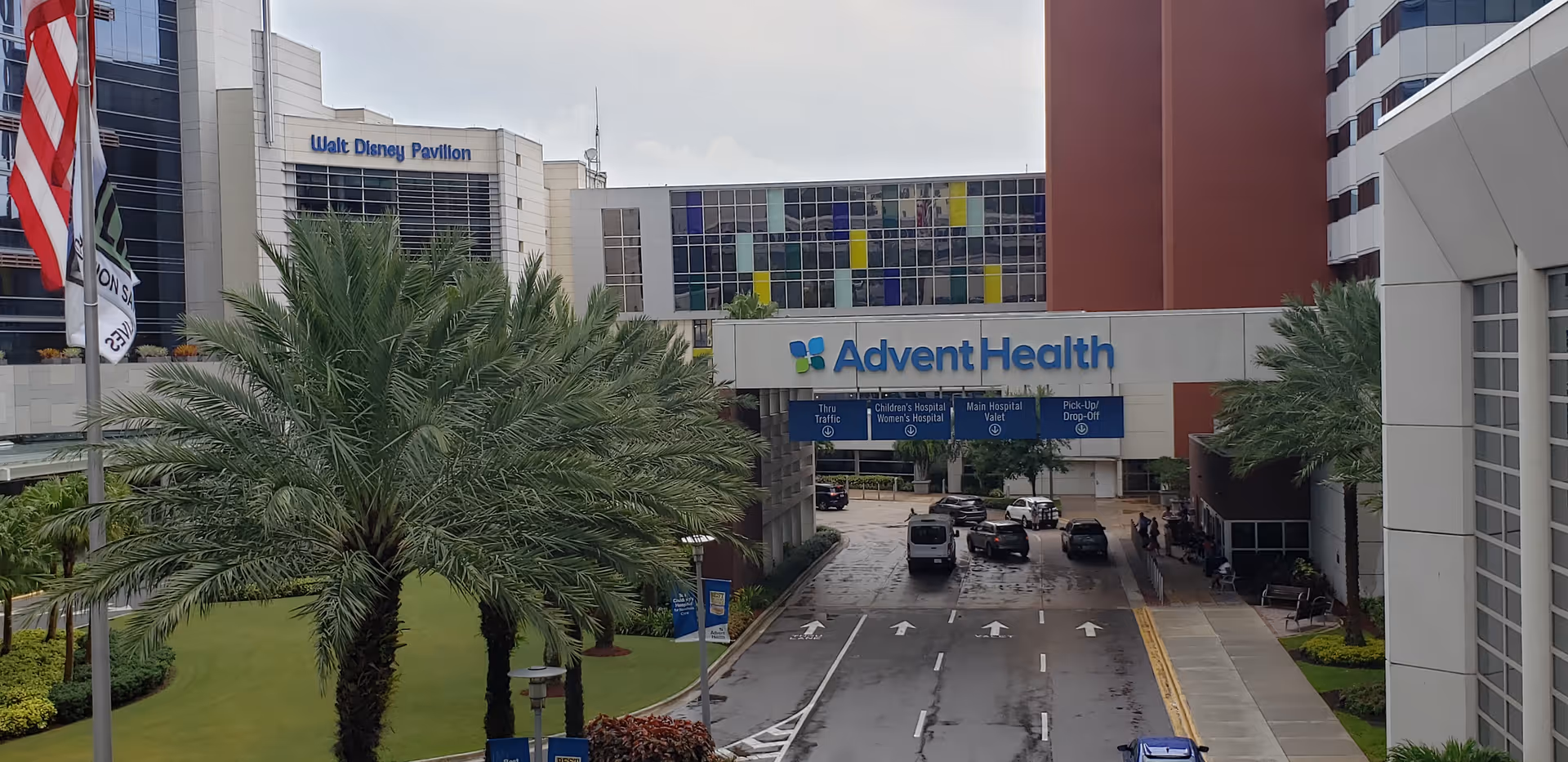Exterior view of AdventHealth Hospice building with palm trees and a road leading to the entrance.