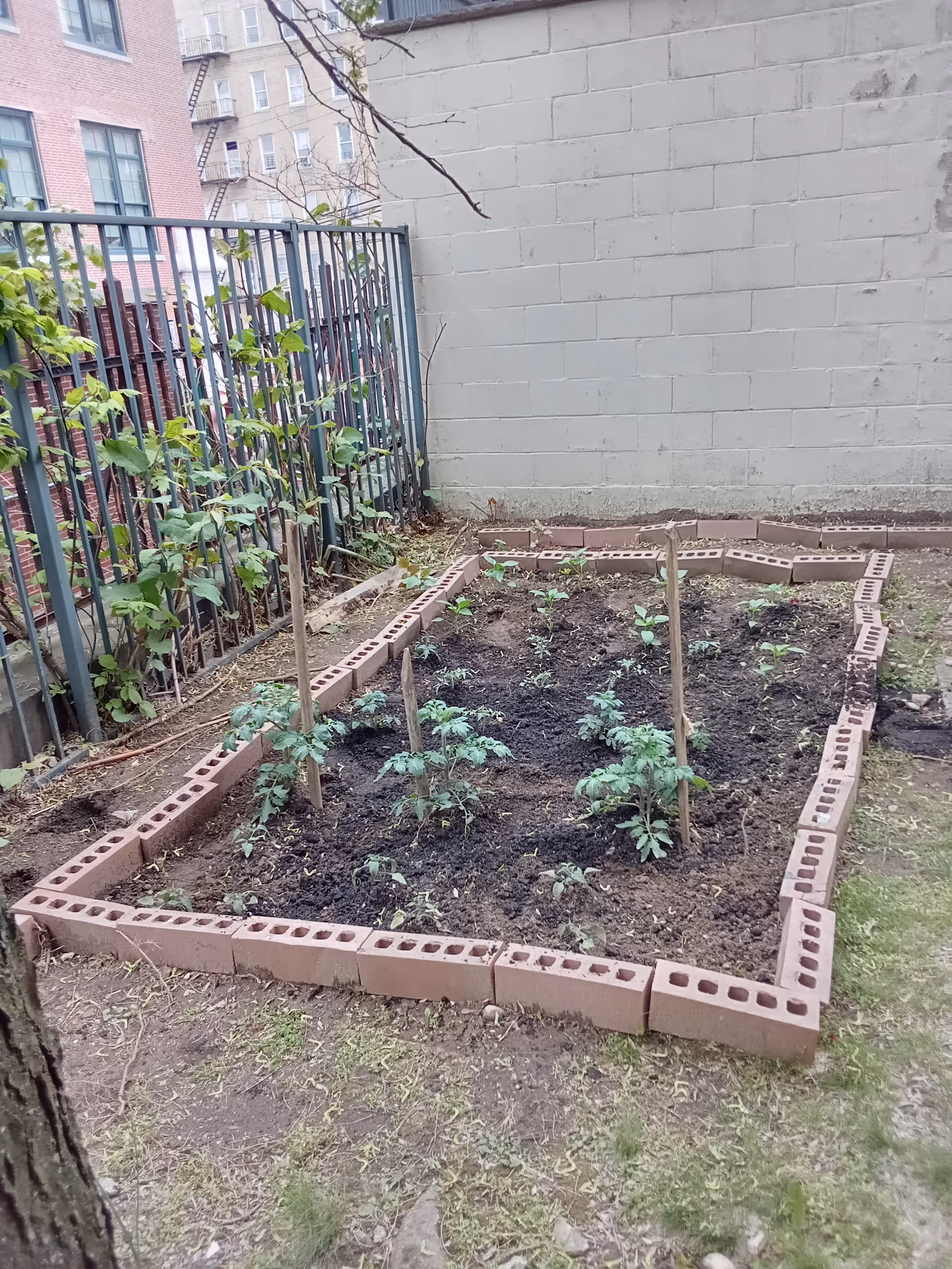 Raised garden beds formed by cinder blocks in a small courtyard garden.