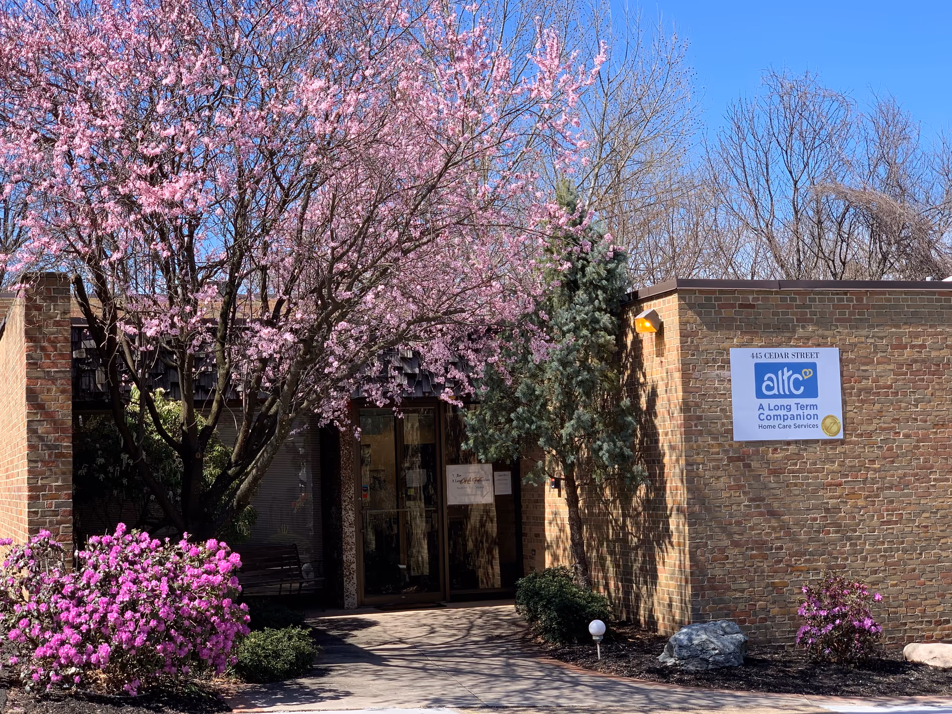 Brick building entrance with blooming pink trees and a sign reading A Long Term Companion.