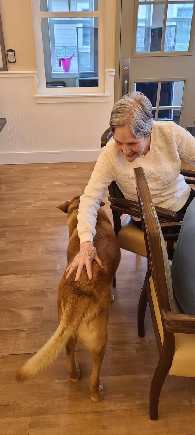An elderly woman sitting on a chair indoors, smiling and petting a brown dog standing next to her. The room has wooden flooring, a window with a pink watering can visible outside, and a door with glass panels.