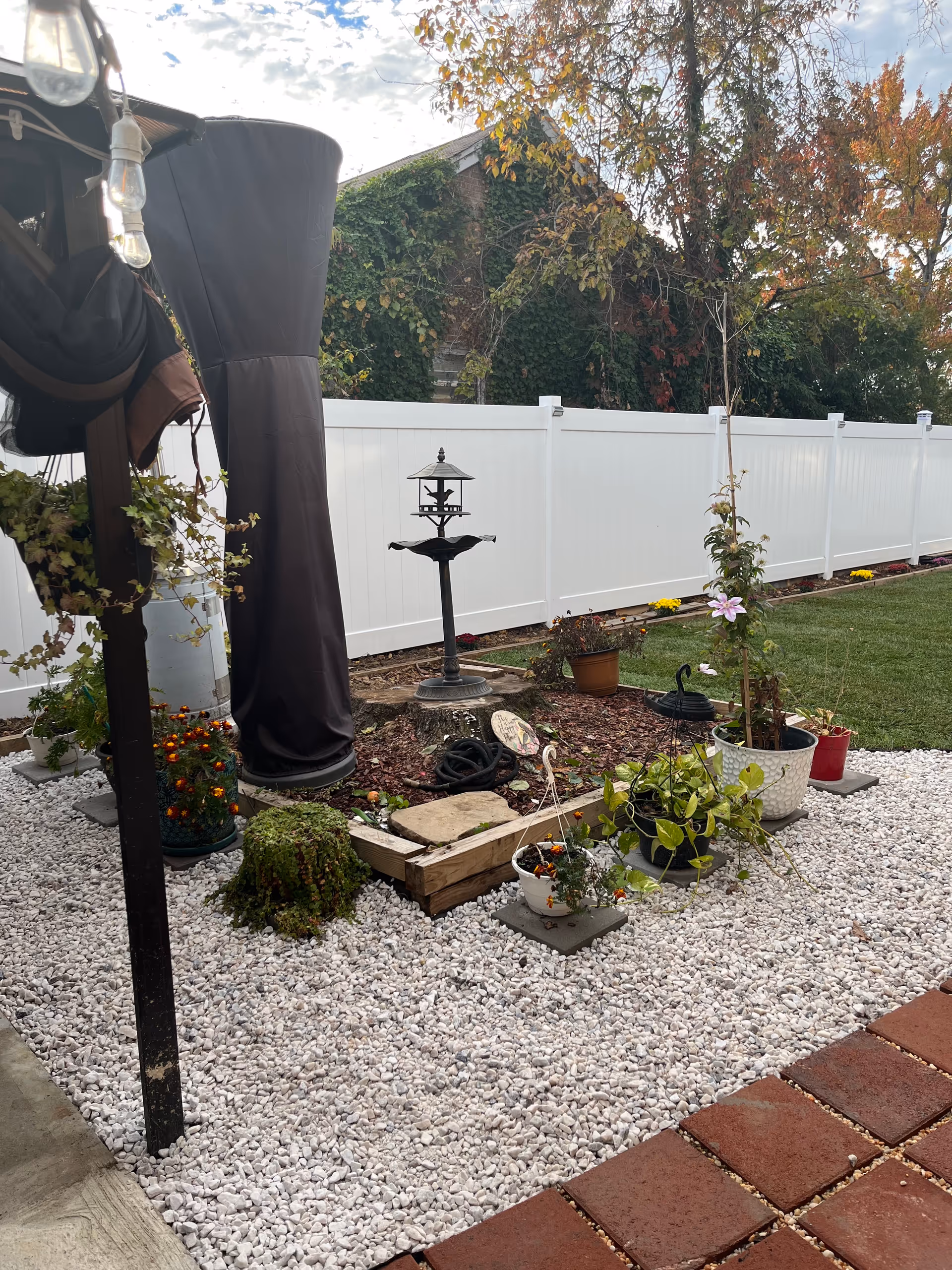 Outdoor backyard scene with white fence, gravel ground, and various potted plants.