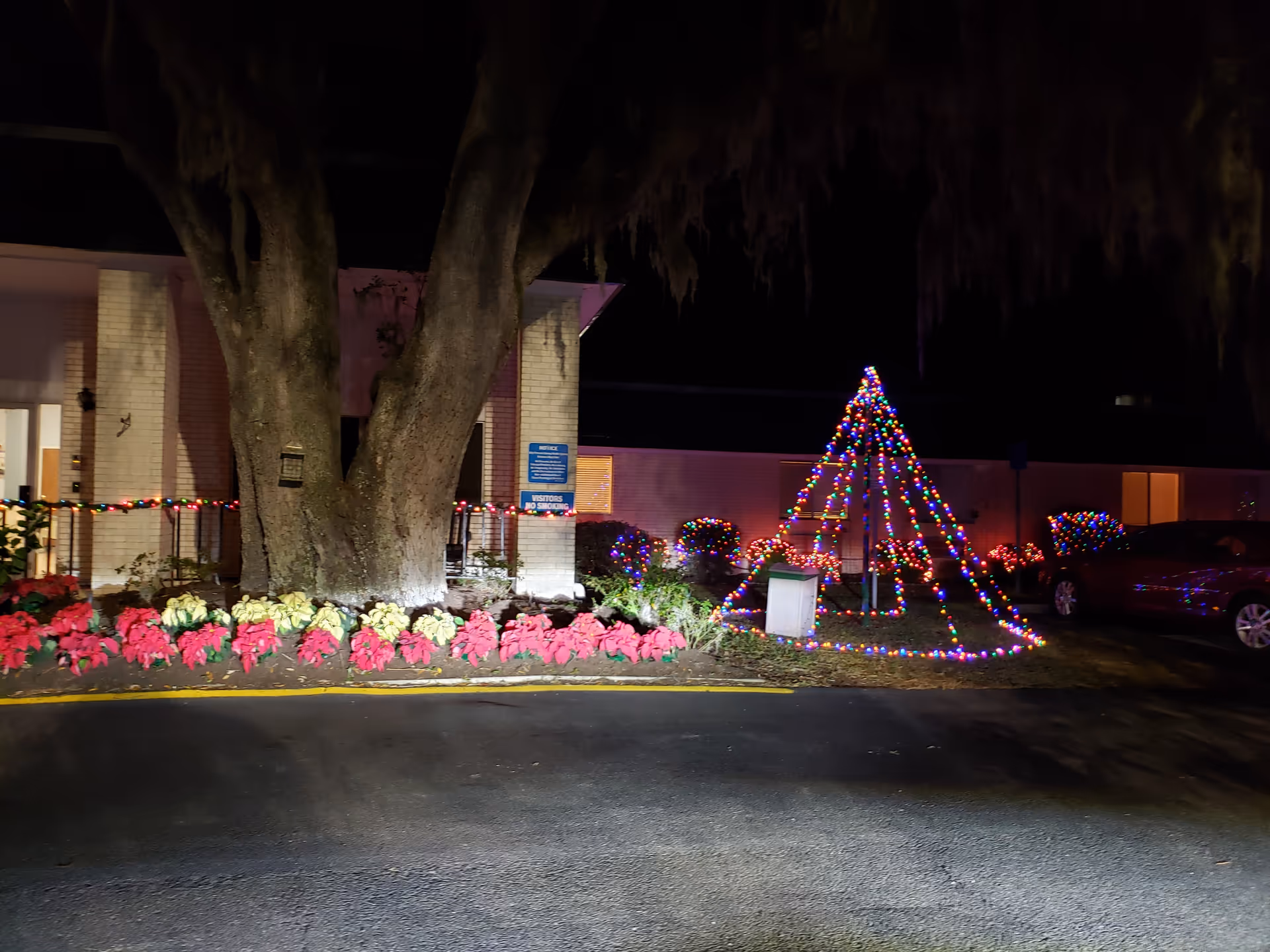 Night view of PruittHealth St. Marys exterior with colorful holiday lights and a lit Christmas tree.