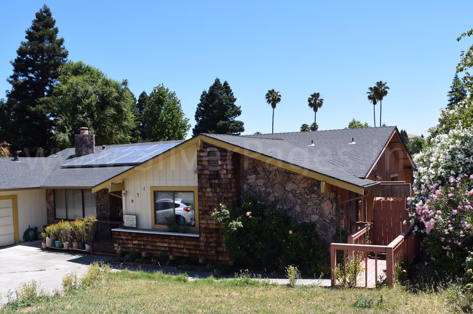 Single-story house with stone facade, solar panels, and surrounding trees in a sunny yard.