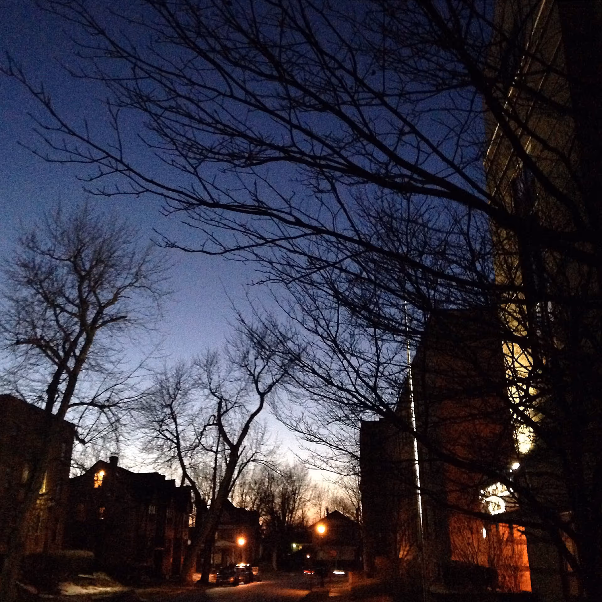 Evening exterior view of leafless trees and buildings along a dimly lit street.