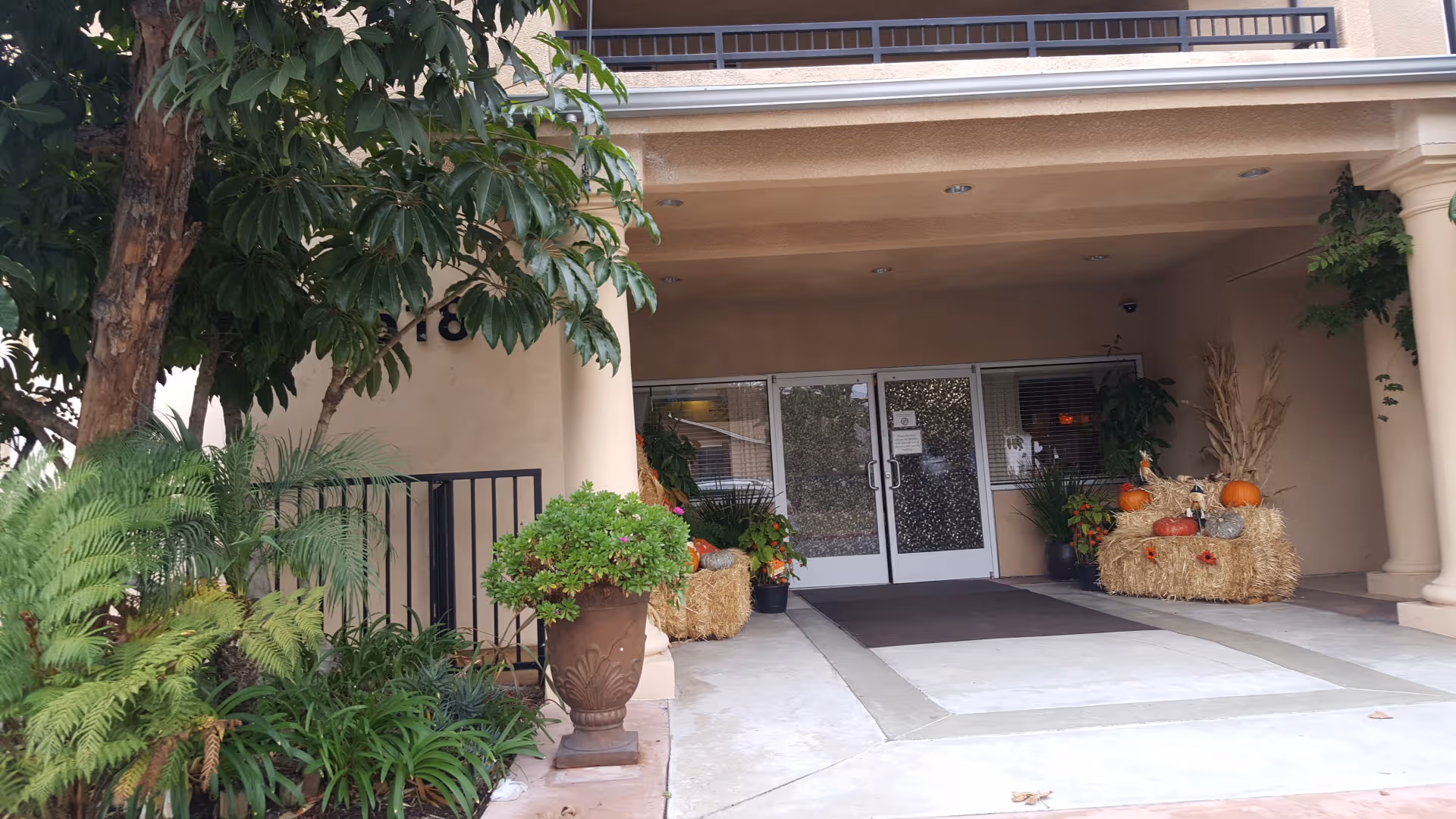Exterior entrance of Stellar Care facility with glass doors, pumpkins, hay bales, and plants.