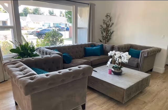 Bright living room with a gray tufted sectional, teal cushions, and plants by windows.